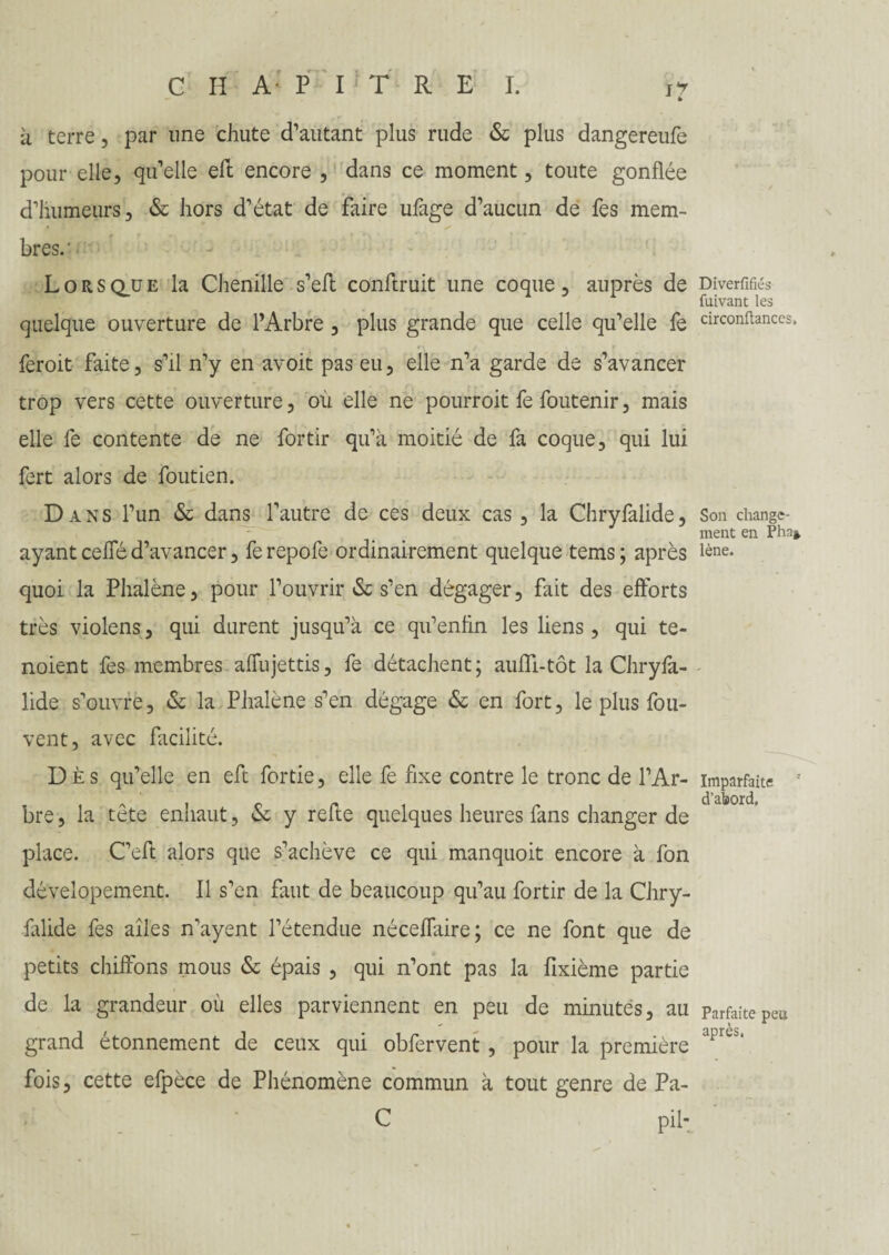à terre, par une chute d’autant plus rude & plus dangereufe pour elle, quelle eft encore , dans ce moment, toute gonflée d’humeurs, & hors d’état de faire ufage d’aucun de fes mem¬ bres.' Lorsque la Chenille s’eft conftruit une coque, auprès de quelque ouverture de l’Arbre , plus grande que celle qu’elle fe feroit faite, s’il n’y en avoit pas eu, elle n’a garde de s’avancer trop vers cette ouverture, ou elle ne pourroit fe foutenir, mais elle fe contente de ne fortir qu’à moitié de fa coque, qui lui fert alors de foutien. Dans l’un & dans l’autre de ces deux cas , la Chryfalide, ayant ceffé d’avancer, fe repofe ordinairement quelque tems ; après quoi la Phalène, pour l’ouvrir & s’en dégager, fait des efforts très violens, qui durent jusqu’à ce qu’enfin les liens, qui te- noient fes membres affujettis, fe détachent; auffi-tôt la Chryfa¬ lide s’ouvre, & la Phalène s’en dégage & en fort, le plus fou- vent, avec facilité. Dès qu’elle en eft fortie, elle fe fixe contre le tronc de l’Ar¬ bre, la tête enhaut, «Se y refte quelques heures fans changer de place. C’eft alors que s’achève ce qui manquoit encore à fon dévelopement. Il s’en faut de beaucoup qu’au fortir de la Chry¬ falide fes ailes n’ayent l’étendue néceffaire; ce ne font que de petits chiffons mous & épais , qui n’ont pas la fixième partie de la grandeur où elles parviennent en peu de minutés, au grand étonnement de ceux qui obfervent , pour la première fois, cette efpèce de Phénomène commun à tout genre de Pa- C pii- Diverfifiés fuivant les circonftances. Son change¬ ment en Pha* lène. Imparfaite d’abord. Parfaite peu après,