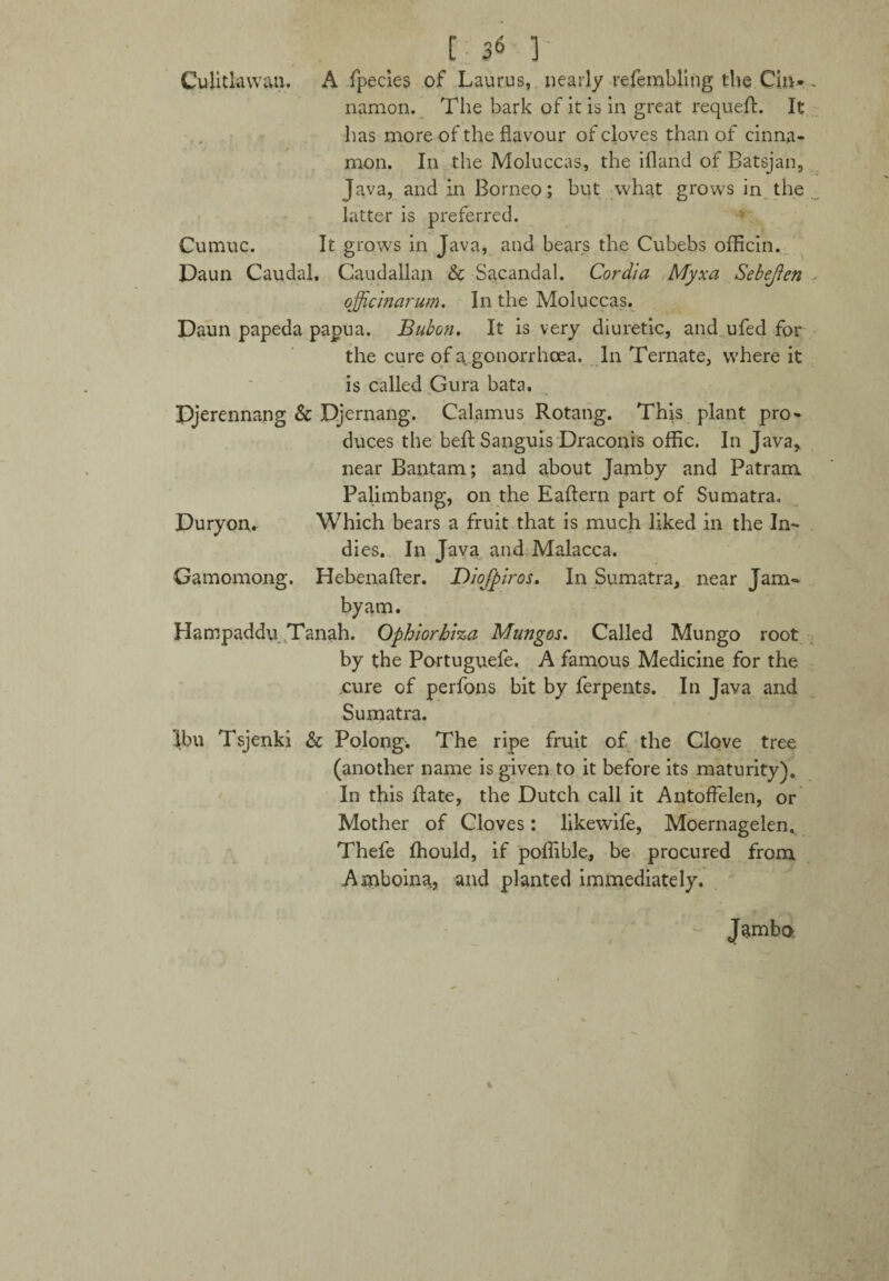 CuUtkwati. A fpecies of Laurus, nearly refembling the Cin¬ namon. The bark of it is in great requefh It has more of the flavour of cloves than of cinna¬ mon. In the Moluccas, the ifland of Batsjan, Java, and in Borneo; but what grows in the latter is preferred. Cumuc. It grows in Java, and bears the Cubebs officin. Daun Caudal. Caudallan & Sacandal. Cordia Myxa SebeJIen officinarum. In the Moluccas. Daun papeda papua. Bubon. It is very diuretic, and ufed for the cure of a gonorrhoea. In Ternate, where it is called Gura bata. Pjerennang & Djernang. Calamus Rotang. This plant pro¬ duces the beft Sanguis Draconis offic. In Java, near Bantam; and about Jamby and Patram Palimbang, on the Eaftern part of Sumatra. Duryon. Which bears a fruit that is much liked in the In¬ dies. In Java and Malacca. Gamomong. Hebenafter. Diofpiros. In Sumatra, near Jam¬ by am. Hampaddu Tanah. Ophiorhiza Mungos. Called Mungo root by the Portuguefe. A famous Medicine for the cure of perfons bit by ferpents. In Java and Sumatra. Ibu Tsjenki & Polong. The ripe fruit of the Clove tree (another name is given to it before its maturity). In this Rate, the Dutch call it Antoffelen, or Mother of Cloves: likewife, Moernagelen. Thefe fhould, if poflible, be procured from Amboina, and planted immediately. Jamba