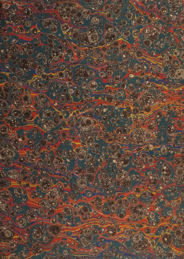 No text description is available for this image