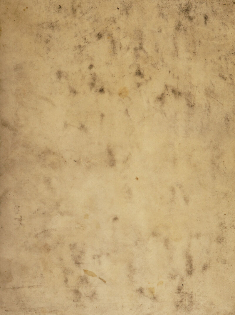 r, « » ■ V Ö ' • ■ V*. V s ' ..1 >- . - 4 -'•V -V. Y V V > fll $ v . ' ••. «JjSiäf-.' »ß; . _• <.;• . ■, <-v- . ■