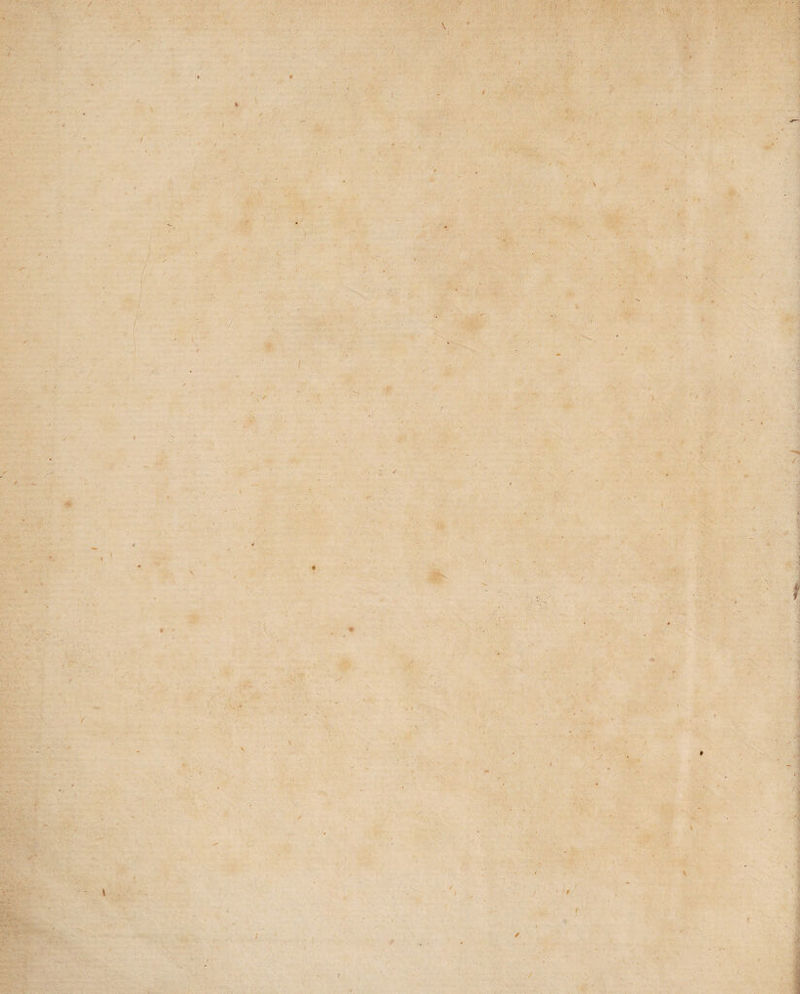 \ fr # J / / - ’ J ’ - , - - '• . ' - J, ' . / ' . *- ■ t / \ /