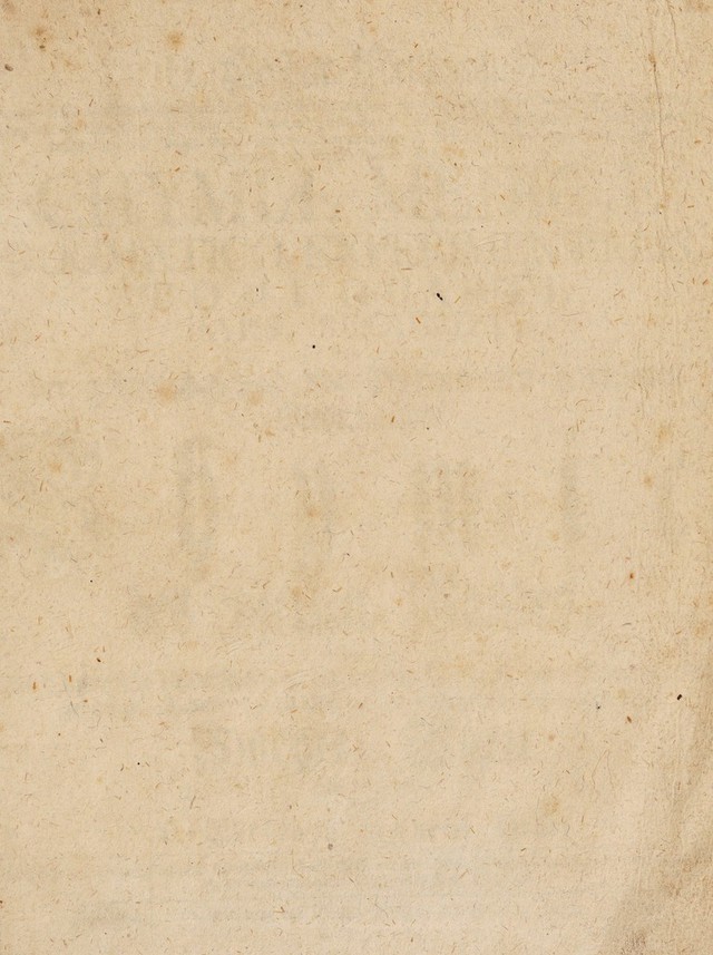 digitised image 3