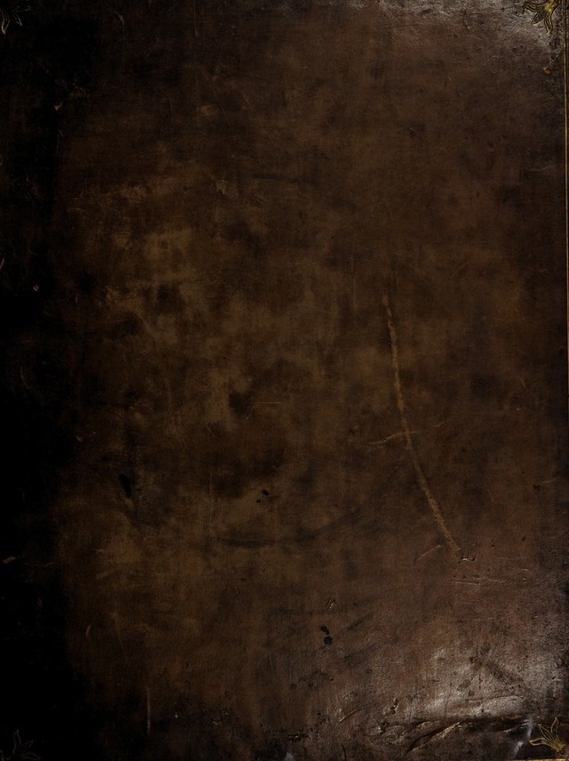 digitised image 1