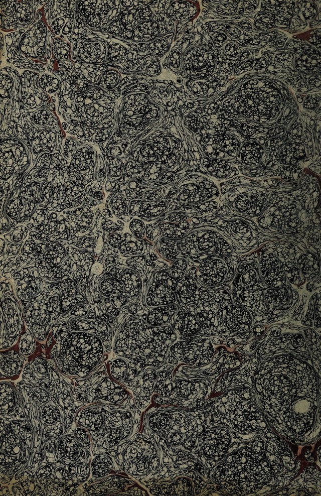 digitised image 2