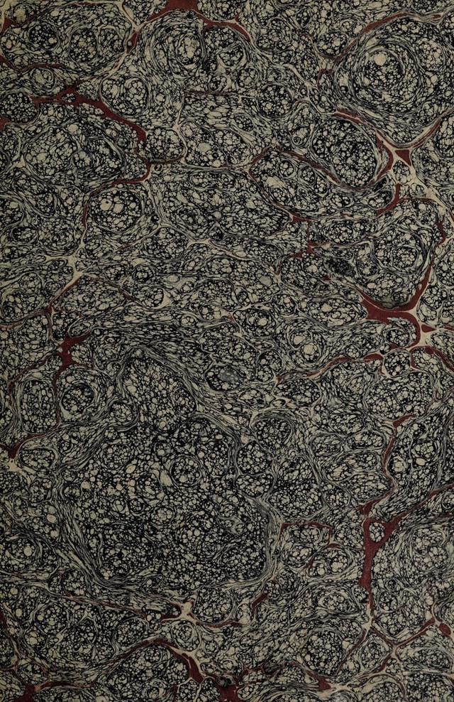 digitised image 3