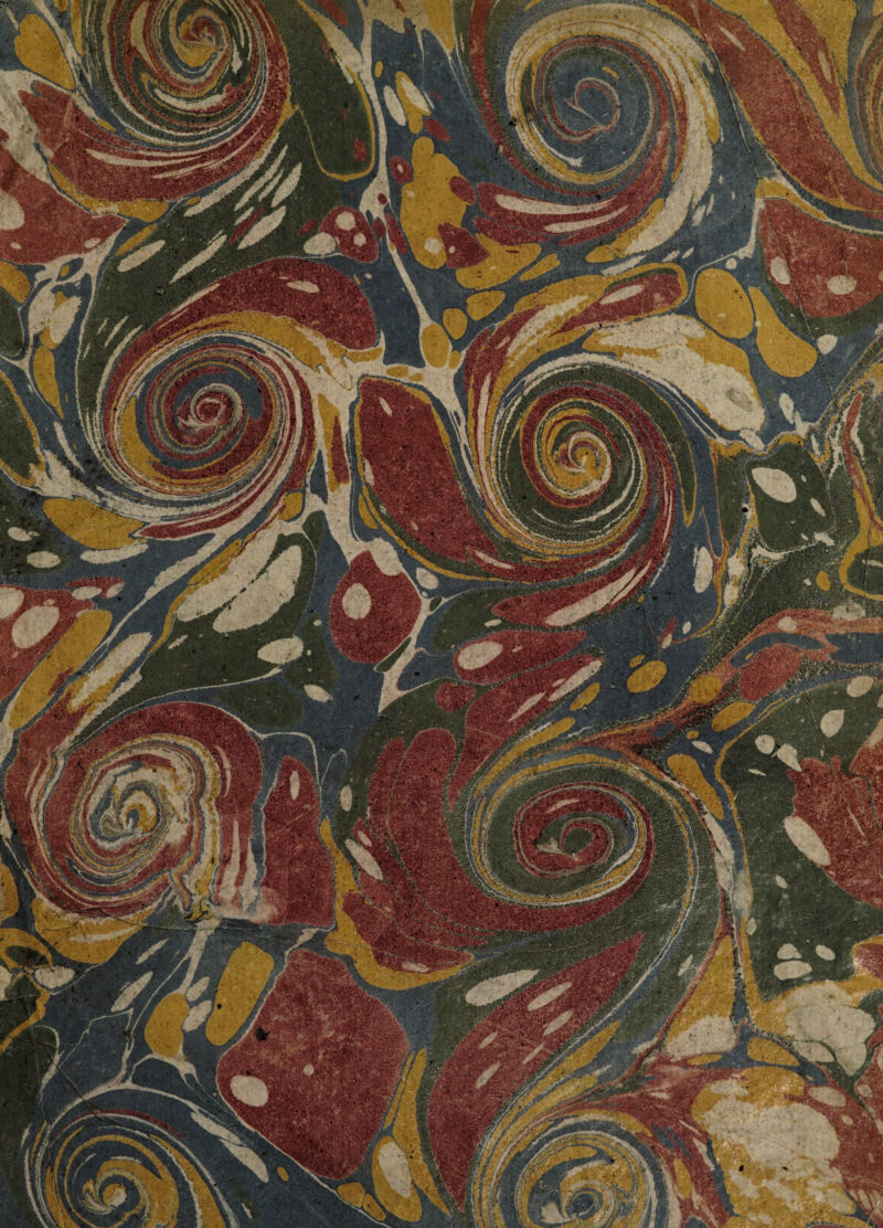 No text description is available for this image