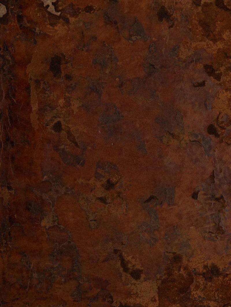 No text description is available for this image