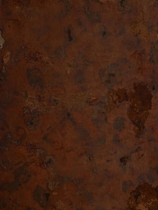 digitised image 1