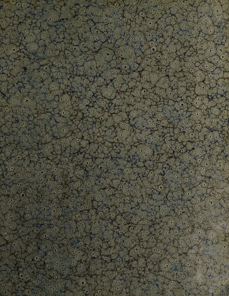 mm ‘Sv^; fer'-- *JK*Sa j5; : • V\C\/l \ - ■ • : YV?£' *.15 '5.?> y,. W* ■ d*s ‘i y */A;\ ‘