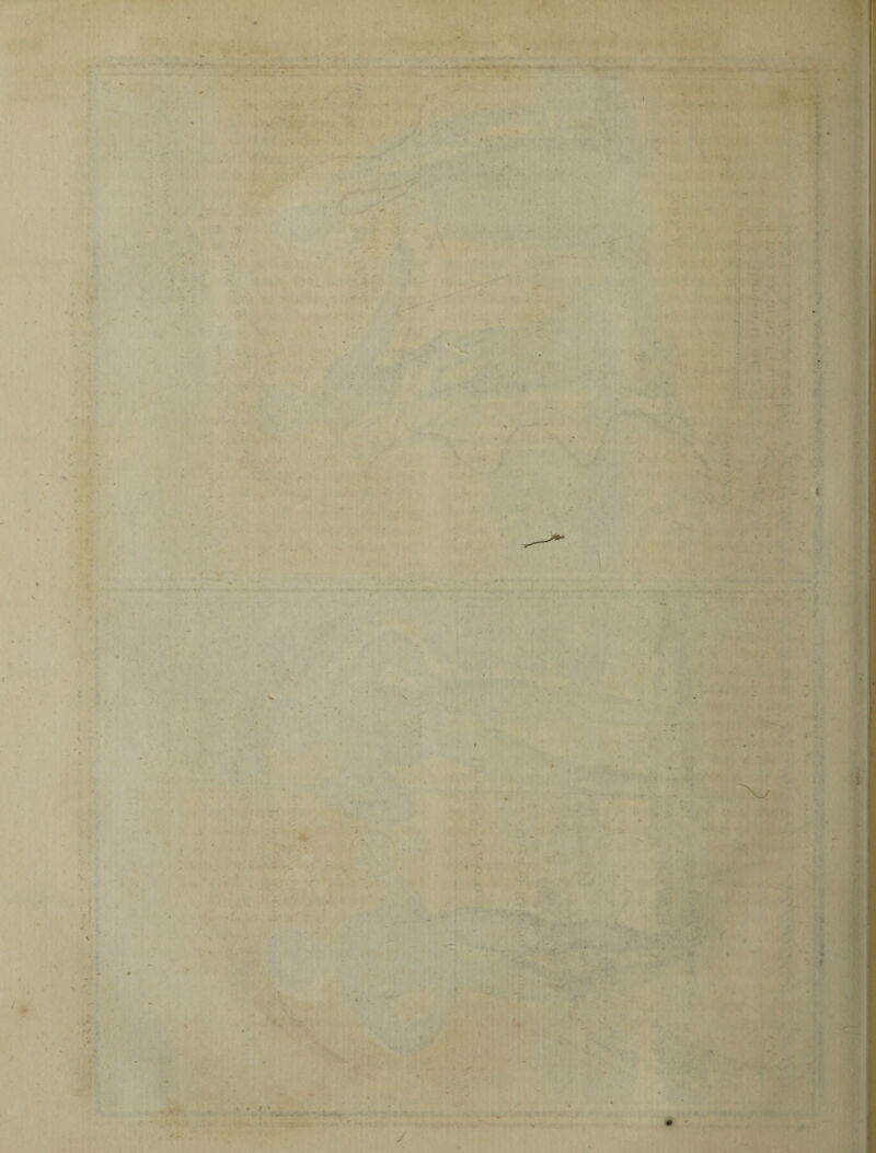 1 » ‘■i V. v - % ;■ . • V . «-'>Vr . . -l r •- y # i