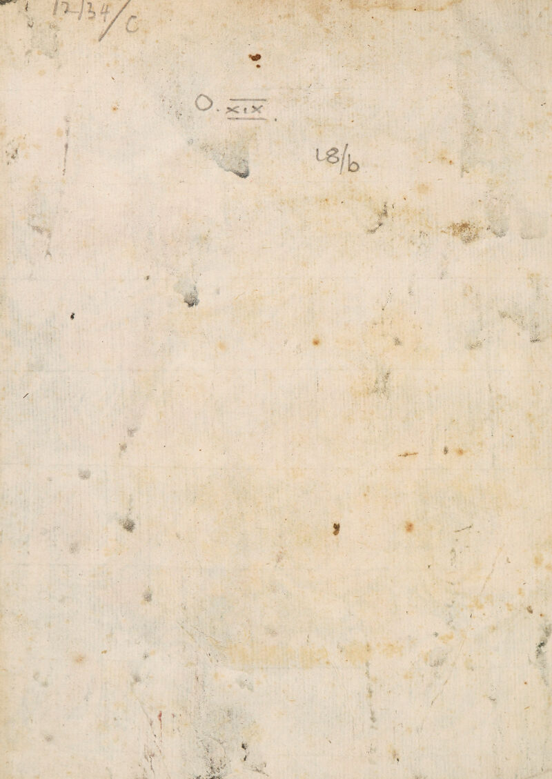 > 5' , * V . *x * \ ' V.. 1 * • • } $ ( r tK * i 4 ■ ♦ » • V # ÿ. r •J ' /