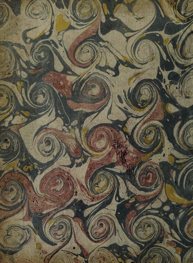 No text description is available for this image