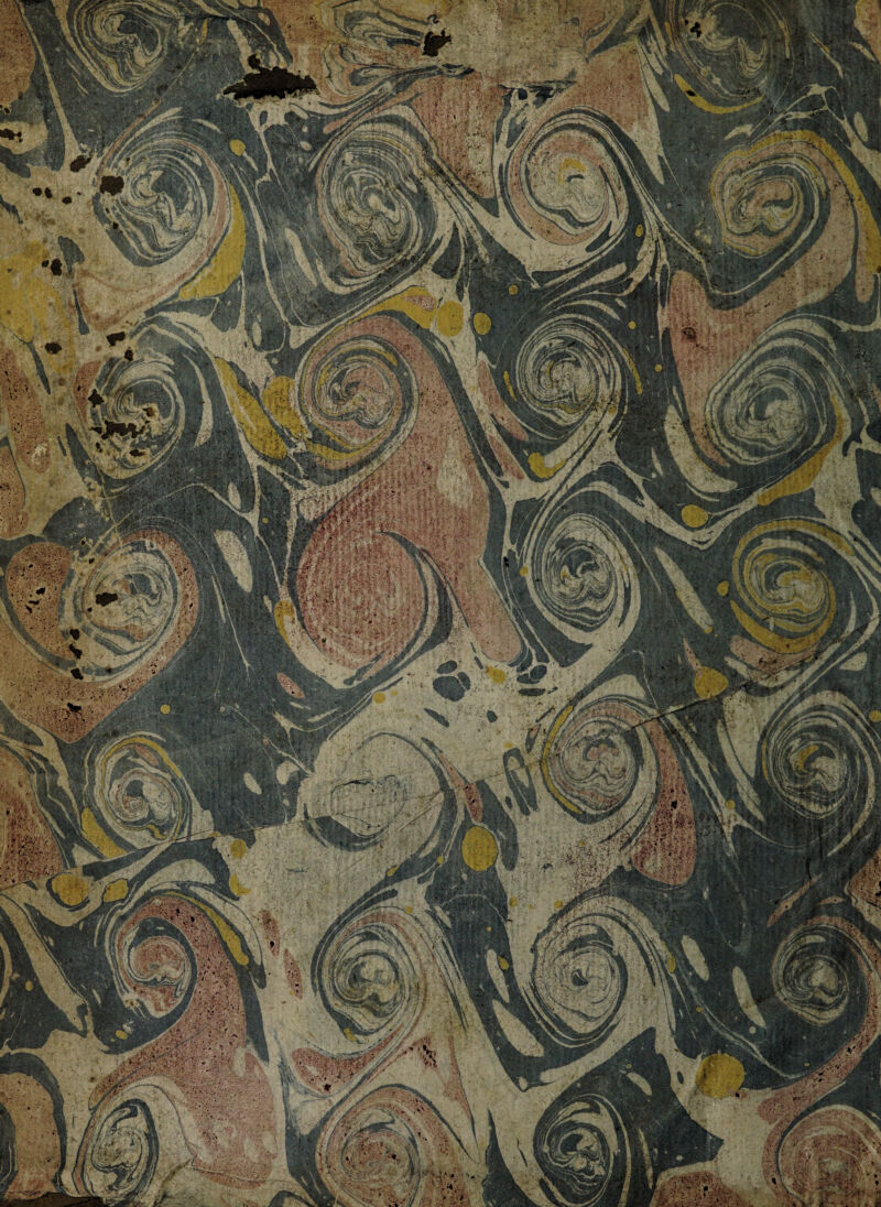 No text description is available for this image