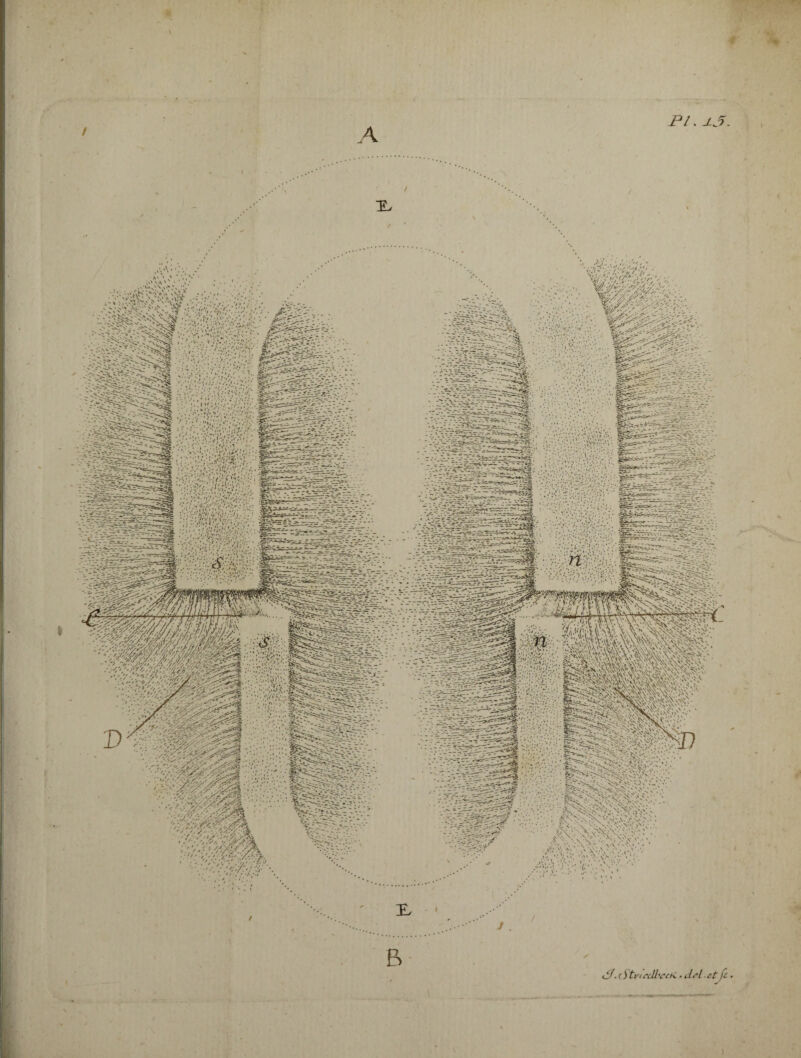 $ ' \ • r. A p/. ij. vt ;y:;l Jj:.. * !.. W&H&S*- WÈ0&&ÏX... ■ V < . X . '>lvV'>v>•;.•. î'V.: à \ w'V A .- ' v .: >■■ •■•• ••• ':■ .. . B i dJ'.ç)tl'ICcll'CChi -dsl et fc •