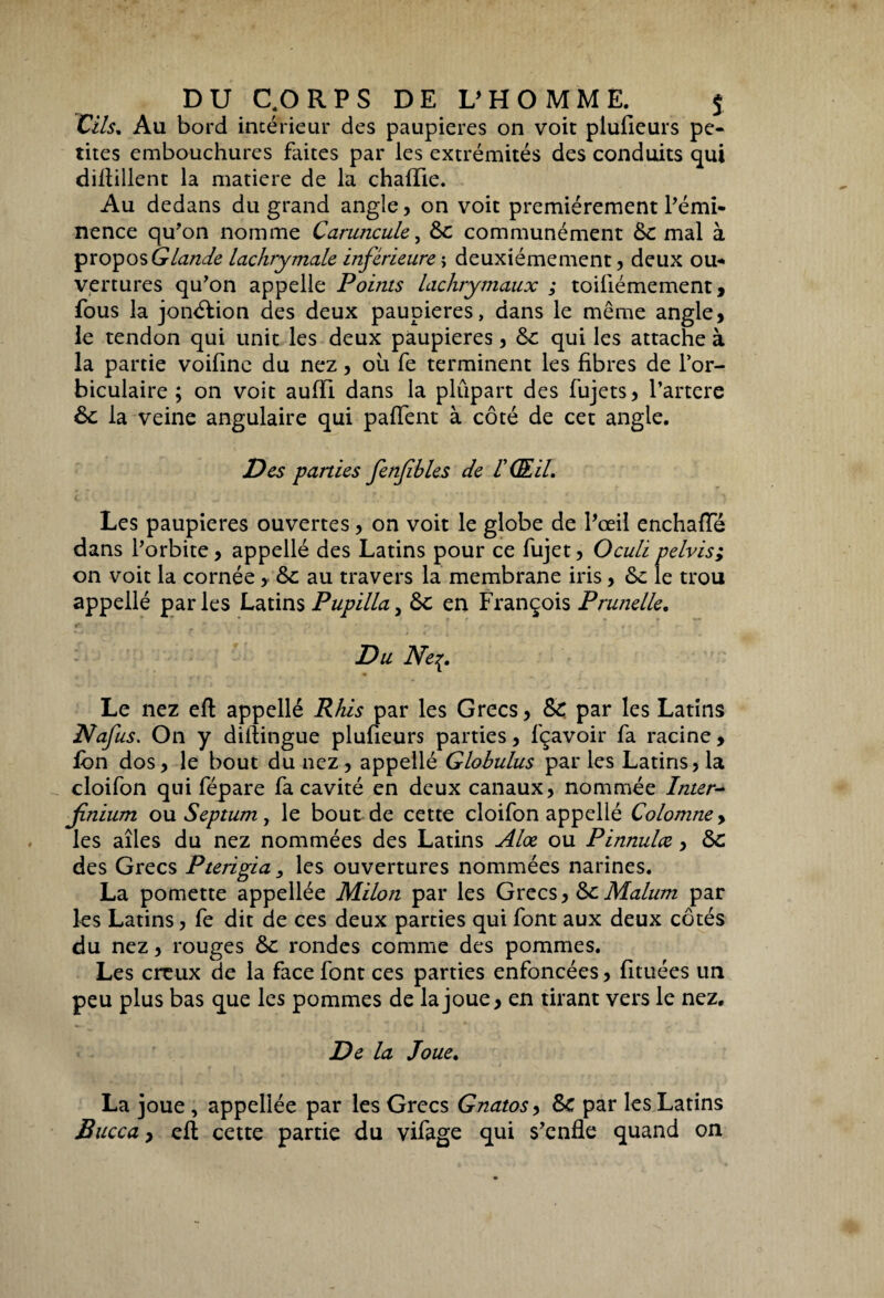 Cils. Au bord intérieur des paupières on voit plufieurs pe¬ tites embouchures faites par les extrémités des conduits qui difiillent la matière de la chalïie. Au dedans du grand angle, on voit premièrement l’émi¬ nence qu’on nomme Caruncule, 6c communément 6c mal à propos Glande lachrymale inférieures deuxièmement, deux ou¬ vertures qu’on appelle Points lachrymaux ; toiliémement, fous la jonction des deux paupières, dans le même angle, le tendon qui unit les deux paupières, 6c qui les attache à la partie voifine du nez, où fe terminent les fibres de l’or- biculaire ; on voit aufïi dans la plupart des fujets, l’artere 6c la veine angulaire qui paflent à côté de cet angle. Des parties fenfibles de VŒil. Les paupières ouvertes, on voit le globe de l’oeil enchafle dans l’orbite, appellé des Latins pour ce fujet, Oculi pelvis; on voit la cornée , 6c au travers la membrane iris, 6c le trou appellé parles Latins Pupilla, 6c en François Prunelle. Du Ne Le nez efl appellé Rhis par les Grecs, 6c. par les Latins Nafus. On y diitingue plufieurs parties, lçavoir fa racine > ion dos, le bout du nez, appellé Globulus par les Latins, la cloifon qui fépare fa cavité en deux canaux, nommée Inter- jinium ou Septum, le bout de cette cloifon appellé Colomne > les aîles du nez nommées des Latins Aloe ou Pinnulœ, 6c des Grecs Pterigia 3 les ouvertures nommées narines. La pomette appellée Milon par les Grecs, 6c Malum par les Latins, fe dit de ces deux parties qui font aux deux côtés du nez, rouges 6c rondes comme des pommes. Les creux de la face font ces parties enfoncées, fituées un peu plus bas que les pommes de la joue, en tirant vers le nez. De la Joue. La joue , appellée par les Grecs Gnatos> 6c par les Latins Bucca, eft cette partie du vifage qui s’enfle quand on