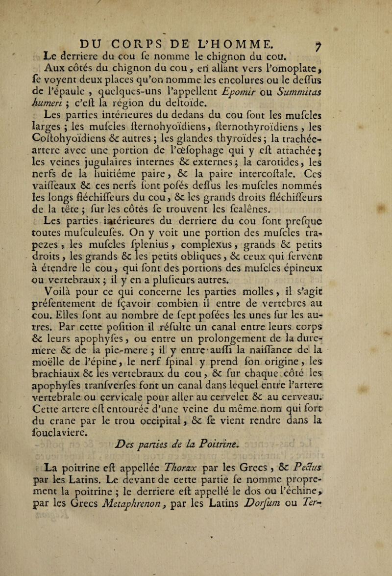 Le derrière du cou fe nomme le chignon du cou. Aux côtés du chignon du cou, en allant vers l’omoplate, fe voyent deux places qu’on nomme les encolures ou le deffus de l’épaule , quelques-uns l’appellent Epomir ou Summitas humeri ; c’eil la région du deltoïde. Les parties intérieures du dedans du cou font les mufcles larges ; les mufcles lternohyoïdiens, flernothyroïdiens , les Coitohyoïdiens 6c autres ; les glandes thyroïdes ; la trachée- artere avec une portion de l’cèfophage qui y eïl attachée; les veines jugulaires internes 6c externes ; la carotides, les nerfs de la huitième paire, 6c la paire intercoftale. Ces vaiffeaux 6c ces nerfs font poïés deffus les mufcles nommés les longs fléchiffeurs du cou, 6c les grands droits fléchiffeurs de la tête ; fur les côtés fe trouvent les fcalênes. Les parties intérieures du derrière du cou font prefque toutes mufculeufes. On y voit une portion des mufcles tra¬ pèzes , les mufcles fpienius, complexus, grands 6c petits droits, les grands 6c les petits obliques, 6c ceux qui fervent à étçndre le cou, qui font des portions des mufcles épineux ou vertébraux ; il y en a plufieurs autres. Voilà pour ce qui concerne les parties molles, il s’agit préfentement de fçavoir combien il entre de vertébrés au cou. Elles font au nombre de fept pofées les unes fur les au¬ tres. Par cette pofition il réfulte un canal entre leurs corps 6c leurs apophyfes, ou entre un prolongement de la dure- mere 6c de la pie-mere ; il y entre*auïïï la naiïfance de la moelle de l’épine, le nerf fpinal y prend fon origine, les brachiaux 6c les vertébraux du cou, 6c. fur chaque côté les apophyfes tranfverfes font un canal dans lequel entre l’artere vertébrale ou cervicale pour aller au cervelet 6c au cerveau. Cette artere eft entourée d’une veine du même nom qui fort du crâne par le trou occipital, 6c fe vient rendre dans la fouclaviere. Des parties de la Poitrine. La poitrine eft appellée Thorax par les Grecs , 6c Peclus par les Latins. Le devant de cette partie fe nomme propre¬ ment la poitrine ; le derrière eft appellé le dos ou l’échine, par les Grecs Metaphrenon, par les Latins Dorfum ou Ter-