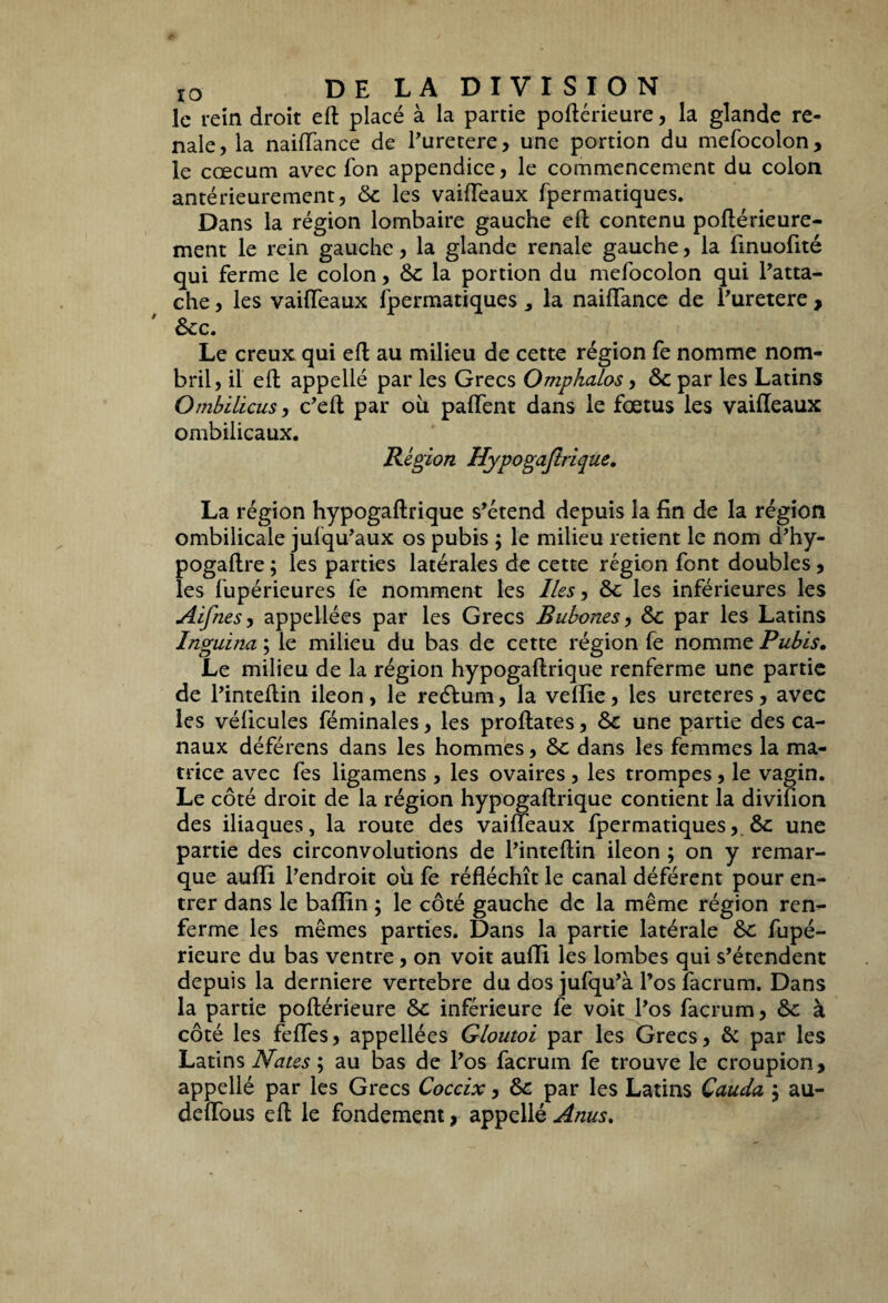 le rein droit eft placé à la partie poftérieure, la glande ré¬ nale, la naiftance de l’uretere, une portion du mefocolon, le cæcum avec Ton appendice, le commencement du colon antérieurement, 6c les vaifteaux fpermatiques. Dans la région lombaire gauche eft contenu poftérieure - ment le rein gauche, la glande renale gauche, la finuofité qui ferme le colon, 6c la portion du mefocolon qui l’atta¬ che , les vaifTeaux fpermatiques * la naiftance de l’uretere , Scc. Le creux qui eft au milieu de cette région fe nomme nom¬ bril, il eft appellé par les Grecs Ompkaios, 6c par les Latins Ombilicus, c’eft par ou paffent dans le fœtus les vaifteaux ombilicaux. Région Hypogajtrique. La région hypogaftrique s’étend depuis la fin de la région ombilicale jufqu’aux os pubis ; le milieu retient le nom d’hy- pogaftre ; les parties latérales de cette région font doubles , les fupérieures fe nomment les Iles, 6c les inférieures les Aifnes, appeliées par les Grecs Bubones, 6c par les Latins Inguïna ; le milieu du bas de cette région fe nomme Pubis. Le milieu de la région hypogaftrique renferme une partie de l’inteftin iléon, le reélum, la veflie, les ureteres, avec les vélicules féminales, les profilâtes, 6c une partie des ca¬ naux déférens dans les hommes, 6c dans les femmes la ma¬ trice avec fes ligamens , les ovaires , les trompes, le vagin. Le côté droit de la région hypogaftrique contient la divifion des iliaques, la route des vaifteaux fpermatiques6c une partie des circonvolutions de l’inteftin iléon ; on y remar¬ que aufti l’endroit où fe réfléchît le canal déférent pour en¬ trer dans le baflin ; le côté gauche de la même région ren¬ ferme les mêmes parties. Dans la partie latérale 6c fupé- rieure du bas ventre , on voit aufti les lombes qui s’étendent depuis la derniere vertebre du dos jufqu’à l’os facrum. Dans la partie poftérieure 6c inférieure fe voit l’os facrum, 6c à côté les feftes, appeliées Gloutoi par les Grecs, & par les Latins Naies ; au bas de l’os facrum fe trouve le croupion, appellé par les Grecs Coccix, 6c par les Latins Cauda , au- deflous eft le fondement, appellé Anus.