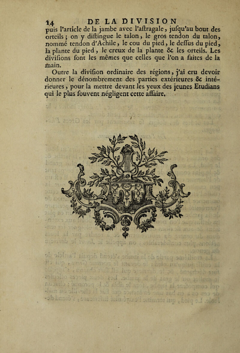 puis l’article de la jambe avec l’aftragale, jufqu’au bout des orteils; on y diftingue le talon, le gros tendon du talon, nommé tendon d'Achile, le cou du pied, le deffus du pied, la plante du pied, le creux de la plante &c les orteils. Les divifions font les mêmes que celles que bon a faites de la inain. Outre la divifion ordinaire des régions, j’ai cru devoir donner le dénombrement des parties extérieures & inté¬ rieures , pour la mettre devant les yeux des jeunes Etudians qui le plus fouvent négligent cette affaire.