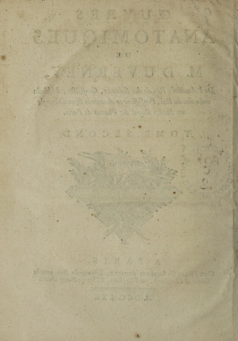 , : -* *LJ * v j * •' \ . % •“'1 y. \ > 7) i r» • < *■ 4f y J J \ f v. / \