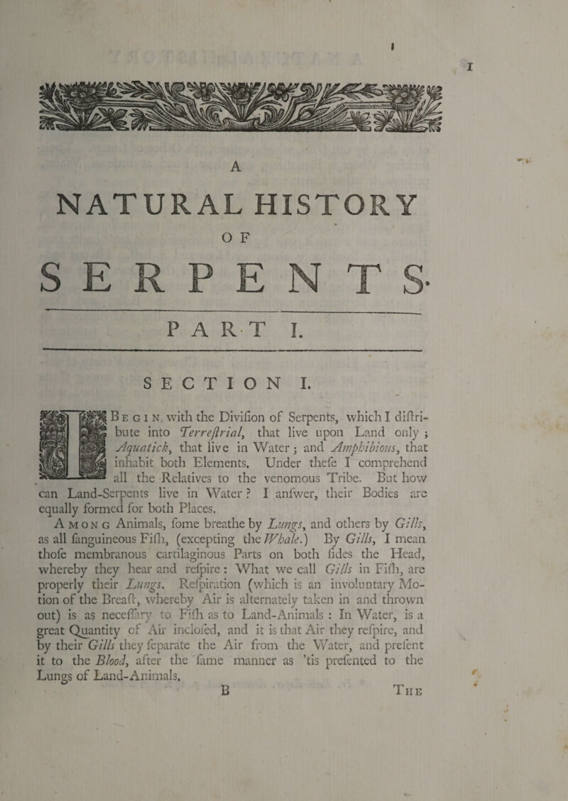 NATURAL HISTORY O F SERPENTS- P A R T I. SECTION I. Begin, with the Divihon of Serpents, which I diflri- bute into Letmeftrial, that live upon Land only ; Aquatick, that live in Water j and Amphibious, that inhabit both Elements. Under thefe I comprehend all the Relatives to the venomous Tribe. But how can Land-Serpents live in Water ? I anfwer, their Bodies are equally formed for both Places. Among Animals, fome breathe by Lungs, and others by Gillsy as all fanguineous Fifh, (excepting the Whale.) By Gills, I mean thole membranous cartilaginous Parts on both fides the Head, whereby they hear and refpire: What we call Gills in Fifh, are properly their Icings. Refpiration (which is an involuntary Mo¬ tion of the Breafc, whereby Air is alternately taken in and thrown out) is as neceffory to Fifh as to Land-Animals : In Water, is a great Quantity of Air incloied, and it is that Air they refpire, and by their Gills they feparate the Air from the Water, and prefent it to the Blood, after the fame manner as ’tis prefented to the Lungs of Land-Animals. B The