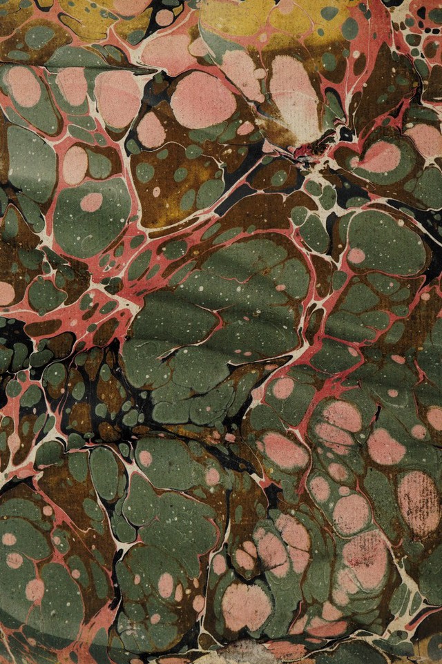 No text description is available for this image