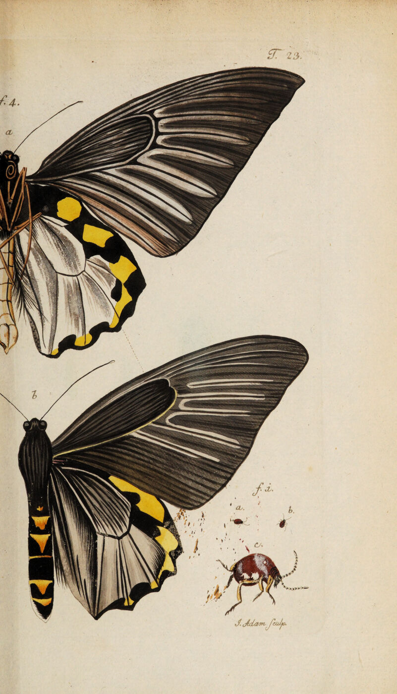 J.dxLavnJ&df- u *\ . .n | IUI \\ \ I L , 1 W n r t , t ^ 11« VI % fi B 1 w|i\| \ 'VI 1 1 f ' 11 r i 1 fti/ / ' 4 j 3C 2$: