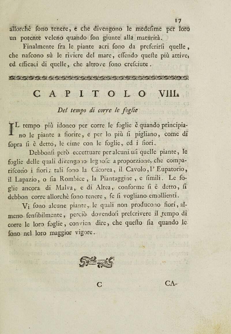 allorché fono tenere, e che divengono le medefime per loro un potente veleno quando fon giunte alla maturità. Finalmente fra le piante acri fono da preferirli quelle , che nafcono sù le riviere del mare, effondo quelle più attive* ed efficaci di quelle,, che altrove fono crefciute . c a p i t o l o vi IL Del tempo di corre le foglie IL tempo più idoneo per corre le foglie è quando principia¬ no le piante a fiorire, e per lo più fi pigliano, come di fòpra fi è detto, le cime con le foglie, ed i fiori. Debbonli però eccettuare per alcuni ufi quelle piante, le foglie delle quali divengo io leg iole a proporzione, che compa- rifcoiio i fiori; tali fono la Cicareail Cavolo,V Eupatorio, il Lapazio, o fia Rombice , la Piantaggine , e Umili. Le fo¬ glie ancora di Malva, e di Altea, conforme fi è detto, li debbon corre allorché fono tenere , fe fi vogliano emollienti. Vi fono alcune piante, le quali non producono fiori, al¬ meno fenfibilmente, perciò dovendoli prelcrivere il jrempo di corre le loro foglie, convien dire, che quello fia quando le fono nel loro maggior vigore. CA- C