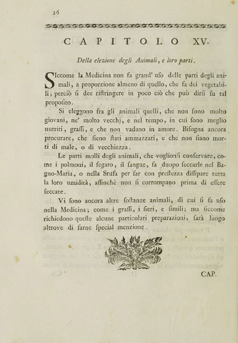 z6 CAPITOLO XV- Della elezione degli Animali, e loro parti. Siccome la Medicina non fa grand' ufo delle parti degli ani¬ mali, a proporzione almeno di quello, che fa dei vegetabi¬ li ; perciò fi dee riilringere in poco ciò che può dirfi fu tal propolìto. Si eleggono fra gli animali quelli, che non fono molto giovani, ne’ molto vecchj, e nel tempo, in cui fono meglio nutriti, graffi, e che non vadano in amore. Bifogna ancora procurare, che fieno flati ammazzati, e che non liano mor¬ ti di male, o di vecchiezza. Le parti molli degli animali, che voglionh confervare, co¬ me i polmoni, il fegato, il (angue, fa duopo feccarle nel Ba¬ gno-Maria, o nella Stufa per far con preftezza diflìpare tutta la loro umidità, affinchè non li corrompano prima di effere fcccate. Vi fono ancora altre foflanze animali, di cui fi fa ufo nella Medicina; come i graffi, i fieri, e limili; ma ficcome richiedono quelle alcune particolari preparazioni, iarà luogo altrove di farne fpccial menzione .