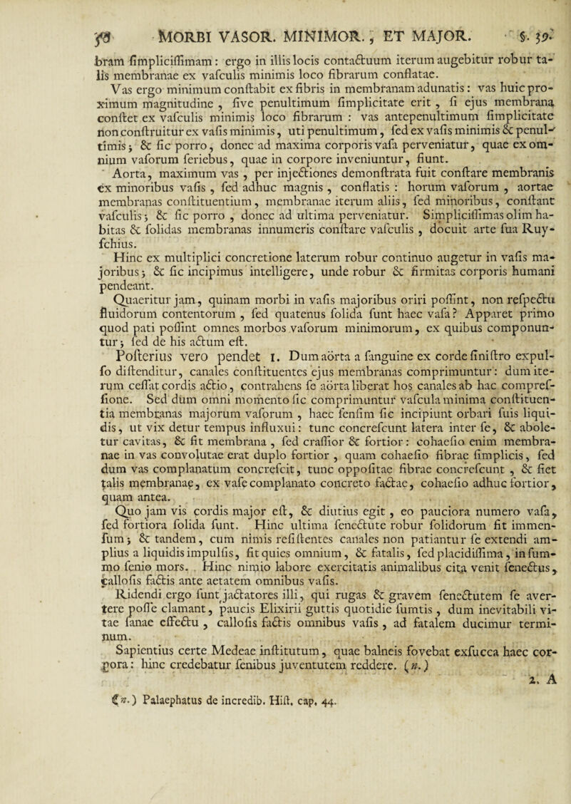 ya Morbi vasor. minimor. , et major. •' $. a>: bram fimpliciflimam: ergo in illis locis contactuum iterum augebitur robur ta¬ lis membranae ex vafculis minimis loco fibrarum conflatae. Vas ergo minimum conflabit ex fibris in membranam adunatis: vas huic pro¬ ximum magnitudine , five penultimum fimplicitate erit , fi ejus membrana conflet ex vafculis minimis loco fibrarum : vas antepenultimum fimplicitate non conftruitur ex vafis minimis, uti penultimum, fed ex vafis minimis St penul-' timisj & fic porro, donec ad maxima corporis vala perveniatur, quae ex om¬ nium vaforum feriebus, quae in corpore inveniuntur, fiunt. Aorta, maximum vas , per injeCtiones demonftrata fuit conflare membranis ex minoribus vafis , fed adhuc magnis , conflatis : horum vaforum , aortae membranas conftituentium, membranae iterum aliis, fed minoribus, conflant vafculis 3 St fic porro , donec ad ultima perveniatur. Simpliciflimas olim ha¬ bitas Se folidas membranas innumeris conflare vafculis , docuit arte fua Ruy- fchius. Hinc ex multiplici concretione laterum robur continuo augetur in vafis ma¬ joribus 3 St fic incipimus intelligere, unde robur St firmitas corporis humani pendeant. Quaeritur jam, quinam morbi in vafis majoribus oriri poffint, non refpeSht fluidorum contentorum , fed quatenus folida funt haec vafa ? Apparet primo quod pati poflint omnes morbos vaforum minimorum, ex quibus componun¬ tur 3 fed de his aflum eft. Pofterius vero pendet I. Dum aorta a fmguine ex corde finiftro expul- fo diftenditur, canales conftituentes ejus membranas comprimuntur : dum ite¬ rum cefiat cordis adlio, contrahens fe aorta liberat hos canales ab hac compref- fione. Sed dum omni momento fic comprimuntur vafcula minima conftituen- tia membranas majorum vaforum , haec fenfim fic incipiunt orbari fuis liqui¬ dis, ut vix detur tempus influxui: tunc concrefcunt latera inter fe, St abole¬ tur cavitas, St fit membrana , fed craflior St fortior: cohaefio enim membra¬ nae in vas convolutae erat duplo fortior , quam cohaefio fibrae fimplicis, fed dum vas complanatum concrefeit, tunc oppofitae fibrae concrefcunt , St fiet talis membranae, ex vafecomplanato concreto factae, cohaefio adhuc fortior , quam antea. Quo jam vis cordis major efl. St diutius egit , eo pauciora numero vafa, fed fortiora folida funt. Hinc ultima feneStute robur folidorum fit immen* fum3 St tandem, cum nimis refiflentes canales non patiantur fe extendi am¬ plius a liquidis impulfis, fit quies omnium, St fatalis, fed placidiflima , in fum- mo fenio mors. Hinc nimio labore exercitatis animalibus cita venit fenedtus, callofis faStis ante aetatem omnibus vafis. Ridendi ergo funt jadtatores illi, qui rugas St gravem feneShitem fe aver¬ tere polle clamant, paucis Elixirii guttis quotidie fumtis , dum inevitabili vi¬ tae lanae elFeStu , callofis fa&is omnibus vafis, ad fatalem ducimur termi¬ num. Sapientius certe Medeae inftitutum, quae balneis fovebat exfucca haec cor¬ pora : hinc credebatur fenibus juventutem reddere. ( n.) z, A ) Palaephatus de incredib. Hift. cap, 44.