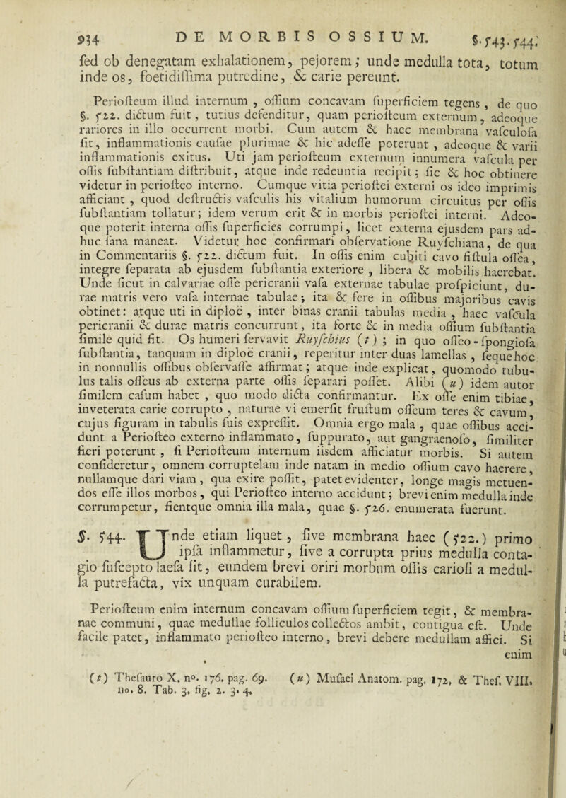 s>u DE MORBIS OSSIUM. 5.743.r44; fed ob denegatam exhalationem, pejorem; unde medulla tota, totum inde os, foetidiilima putredine, & carie pereunt. Periofteum illud internum , offium concavam fuperficiem tegens , de quo §. fzz. dictum fuit, tutius defenditur, quam periofteum externum, adeoque rariores in illo occurrent morbi. Cum autem & haec membrana vafculofa fit, inflammationis caulae plurimae 6c hic adefle poterunt , adeoque dc varii inflammationis exitus. Uti jam periofteum externum innumera vafcula per oflis fubftantiam diftribuit, atque inde redeuntia recipit; fle & hoc obtinere videtur in periolteo interno. Cumque vitia periolfei externi os ideo imprimis afficiant , quod deftructis vafculis his vitalium humorum circuitus per offis fubftantiam tollatur; idem verum erit & in morbis perioftei interni. Adeo¬ que poterit interna offis fuperficies corrumpi, licet externa ejusdem pars ad¬ huc lana maneat. Videtur hoc confirmari obfervatione Ruyfchiana, de qua in Commentariis §. fzz. dictum fuit. In offis enim cubiti cavo fillula oflea integre feparata ab ejusdem fubftantia exteriore , libera 8c mobilis haerebat. Unde ficut in calvariae olle pericranii vafa externae tabulae profpiciunt, du¬ rae matris vero vafa internae tabulae *, ita & fere in offibus majoribus cavis obtinet: atque uti in diploe , inter binas cranii tabulas media , haec vafCula pericranii & durae matris concurrunt, ita forte & in media offium fubftantia fimile quid fit. Os humeri fervavit Ruyfchius (f) ; in quo ofleo-fpongiofa fubftantia, tanquam in diploe cranii, reperitur inter duas lamellas , fequchoc in nonnullis offibus obfervafle affirmat; atque inde explicat, quomodo1 tubu¬ lus talis ofleus ab externa parte offis feparari pollet. Alibi («) idem autor fimilem cafum habet , quo modo didba confirmantur. Ex ofle enim tibiae inveterata carie corrupto , naturae vi emerfit fruftum ofleum teres & cavum cujus figuram in tabulis fuis expreffit. Omnia ergo mala , quae offibus acci¬ dunt a Periofteo externo inflammato, fuppurato, aut gangraenofo, fimiliter fieri poterunt , fi Periofteum internum iisdem afficiatur morbis. Si autem confideretur, omnem corruptelam inde natam in medio offium cavo haerere nullam que dari viam , qua exire poffit, patet evidenter, longe magis metuen¬ dos efle illos morbos, qui Periofteo interno accidunt; brevi enim medulla inde corrumpetur, fientque omnia illa mala, quae §. fz6. enumerata fuerunt. §. T Tnde etiam liquet, five membrana haec (5*22.) primo U ipfa inflammetur, five a corrupta prius medulla conta¬ gio fufeepto laefa fit, eundem brevi oriri morbum offis cariofi a medul¬ la putrefada, vix unquam curabilem. Periofteum enim internum concavam offium fuperficiem tegit, & membra¬ nae communi, quae medullae folliculos colledtos ambit, contigua eft. Unde facile patet, inflammato periofteo interno, brevi debere medullam affici. Si enim t (0 Thefauro X. n°. 176. pag. 69. («) Mufaei Anatom. pag, 172, & Thef. VIII.