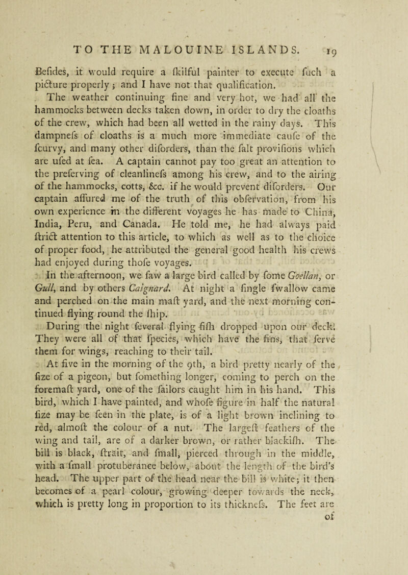 *9 Befides, it would require a fkilful painter to execute fuch a piélure properly 3 and I have not that qualification. The weather continuing fine and very hot, we had all the hammocks between decks taken down, in order to dry the cloaths of the crew, which had been all wetted in the rainy days. This dampnefs of cloaths is a much more immediate caufe of the lcurvy, and many other diforders, than the fait provifions which are ufed at fea. A captain cannot pay too great an attention to the preferving of cleanlinefs among his crew, and to the airing of the hammocks, cotts, &c. if he would prevent diforders. Our captain allured me of the truth of this obfervation, from his own experience m the different voyages he has made to China, India, Peru, and Canada. He told me, he had always paid ftridt attention to this article, to which as well as to the choice of proper food, he attributed the general good health his crews had enjoyed during thofe voyages. In the afternoon, we faw a large bird called by fome Goellan, or Gull, and by others Caignùrd. At night a fmgle fwallow came and perched on the main mail yard, and the next morning con¬ tinued flying round the fhip. During the night fevera-i flying -fifh dropped upon our deck. They were all of that fpecies, 'which have the fins, that ferve them for wings, reaching to their tail. At five in the morning of the 9th, a bird pretty nearly of the fize of a pigeon, but fomething longer, coming to perch on the foreman yard, one of the failors caught him in his hand. This bird, which I have painted, and whofe figure in half the natural fize may be feen in the plate, is of a light brown inclining to red, almofl the colour of a nut. The larged; feathers of the wing and tail, are of a darker brown, or rather blackifh. The* bill is black, lirait, and fmall, pierced through in the middle, with a fmall protuberance below, about the length of the bird’s head. The upper part of the head near the bill is White j it then becomes of a pearl colour, growing deeper towards the neck, which is pretty long in proportion to its thicknefs. The feet are of