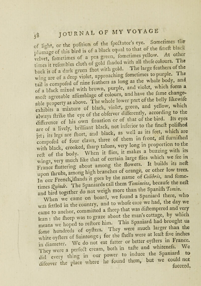 of iMit, or the pofition of the f^ator’s eye Sometimes-ti^ plumage of this bird is of a black equal to that of the fineft b c. velvet, fometimes of a P=a green, fomenmes yellow At other times it refembles cloth of gold (haded with all thefe colours. TU back is of a dark green (hot with gold. 1 he large featheis ofthe wing are of a deep violet, approaching fometimes to purple. The tail ?s compofed offline feathers as long as the whole body, and of a black mixed with brown, purple, and violet, which form a moft agreeable aflemblage of colours, and have the fame change¬ able property as above. The whole lower part of the belly hkewtfe exhibits a mixture of black, violet, green, and yellow, which alwavs ftrike the eye of the obferver differently, according to the difference of his own fituation or of that of the bird Its eyes are of a lively, brilliant black, not inferior to tne fineft polifbed jetj its legs are fhort, and black, as well as its feet winch are ’compofed of four claws, three of them in front, all furnifh d witl black, crooked, fltarp talons, very long in proportion to the ,-eft of the body. When it flies, it makes a buzzing with its wings very much like that of certain large flies which we fee m Franc fluttering about among the flowers. It builds its neft upon fhrubs, among high branches of orange, or other low tiees. In our French.iflands it goes by the name of Cohbris, and fome¬ times Guindé. The Spaniards call them Tommem, becaufe the neft and bhd together do not weigh more than the SpanfthTomn. When we came on board, we found a Spaniard there who was fettled in the country, and to whofe care we had, the day we came to anchor, committed a fheep that was diftempered and very lean : the fheep was to graze about the man’s cottage, by which means we hoped to reftore him. I his Spaniard had bioug it us feme hundreds of oyfters. They were much arger than the white oyfters of Saintonge, for the (hells were at leaf! five niches in diameter. We do not eat fatter or better oyfters in France. They were a perfect cream, both in tafte and wh.tenefs We did ' every thing in our power to induce the Spamar o difeover the place where he found them, but we could net