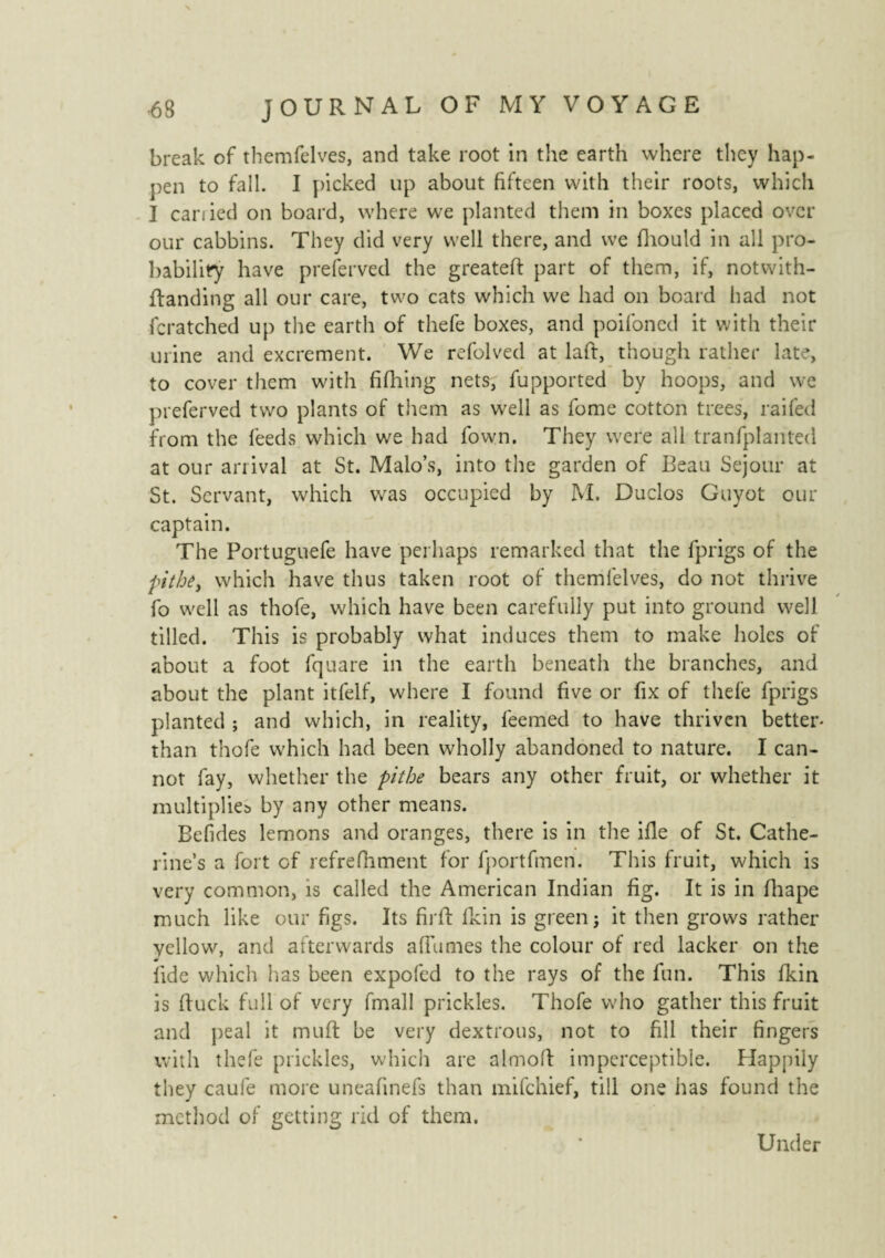 break of themfelves, and take root in the earth where they hap¬ pen to fall. I picked up about fifteen with their roots, which I carried on board, where we planted them in boxes placed over our cabbins. They did very well there, and we fhould in all pro¬ bability have preferved the greateft part of them, if, notwith- ftanding all our care, two cats which we had on board had not fcratched up the earth of thefe boxes, and poifoned it with their urine and excrement. We refolved at laft, though rather late, to cover them with fifhing nets, fupported by hoops, and we preferved two plants of them as well as fome cotton trees, railed from the feeds which we had fown. They were all tranfplanted at our arrival at St. Malo’s, into the garden of Beau Séjour at St. Servant, which was occupied by M. Duclos Guyot our captain. The Portuguefe have perhaps remarked that the fprigs of the pithêy which have thus taken root of themfelves, do not thrive fo well as thofe, which have been carefully put into ground well tilled. This is probably what induces them to make holes of about a foot fquare in the earth beneath the branches, and about the plant itfelf, where I found five or fix of thefe fprigs planted ; and which, in reality, feemed to have thriven better- than thofe which had been wholly abandoned to nature. I can¬ not fay, whether the pithe bears any other fruit, or whether it multiplies by any other means. Befides lemons and oranges, there is in the ifile of St. Cathe¬ rine’s a fort of refrefhment for fportfmen. This fruit, which is very common, is called the American Indian fig. It is in fhape much like our figs. Its firft fkin is green; it then grows rather yellow, and afterwards allumes the colour of red lacker on the fide which has been expofed to the rays of the fun. This fkin is ftuck full of very fmall prickles. Thofe who gather this fruit and peal it muft be very dextrous, not to fill their fingers with thefe prickles, which are almoft imperceptible. Happily they caufe more uneafinefs than mifchief, till one has found the method of getting rid of them. Under