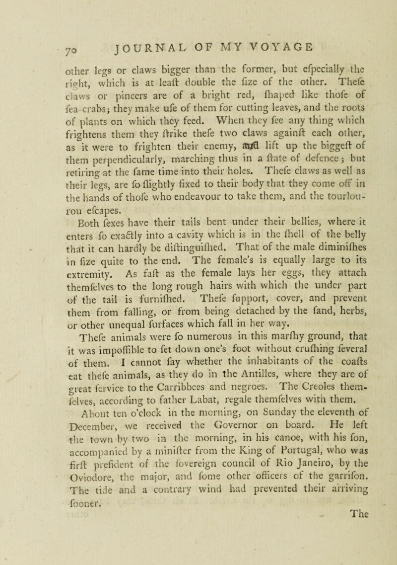 other legs or claws bigger than the former, but efpecially the jio-ht, which is at leaft double the fize of the other. Thefe claws or pincers are of a bright red, fhaped like thofe of fea crabs j they make ufe of them for cutting leaves, and the roots of plants on which they feed. When they fee any thing which frightens them they ftrike thefe two claws againft each other, as it were to frighten their enemy, atfÜ lift up the biggeft of them perpendicularly, marching thus in a Rate of defence j but retiring at the fame time into their holes. Thefe claws as well as their legs, are fo (lightly fixed to their body that they come off in the hands of thofe who endeavour to take them, and the tourlou¬ rou efcapes. Both (exes have their tails bent under their bellies, where it enters fo exaélly into a cavity which is in the (hell of the belly that it can hardly be diftinguiftied. That of the male diminifhes in (ize quite to the end. The female’s is equally large to its extremity. As faff as the female lays her eggs, they attach themfelves to the long rough hairs with which the under part of the tail is furnifhed. Thefe fupport, cover, and prevent them from falling, or from being detached by the fand, herbs, or other unequal furfaces which fall in her way. Thefe animals were fo numerous in this marfhy ground, that it was impoffible to fet down one’s foot without crufhing feveral of them. I cannot fay whether the inhabitants of the coafts eat thefe animals, as they do in the Antilles, where they are of great fervice to the Carribbees and negroes. The CYeoles them¬ felves, according to father Labat, regale themfelves with them. About ten o’clock in the morning, on Sunday the eleventh of December, we received the Governor on board. He left the town by two in the morning, in his canoe, with his fon, accompanied by a minifter from the King of Portugal, who was firff prefident of the (overeign council of Rio Janeiro, by the Oviodore, the major, and fome other officers of the garrifon. The tide and a contrary wind had prevented their arriving fooner. The