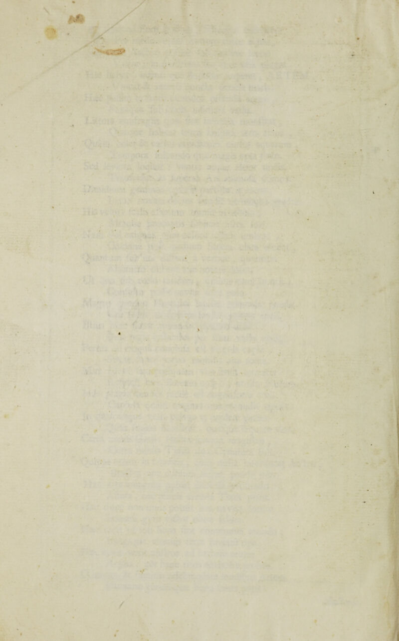 A* * s. • * - » 1 ; . » . * Sf • ■ li . . t /