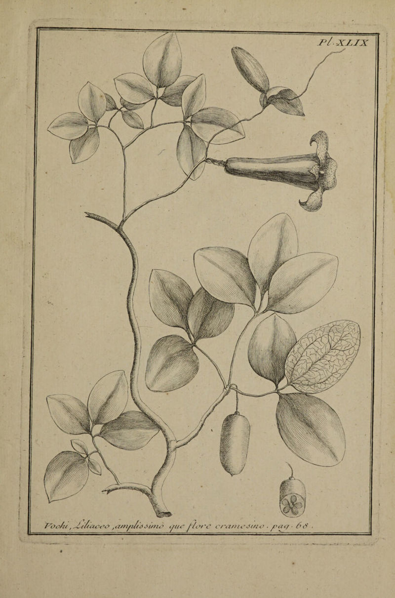 i J°/- x/,zx T^oo/if, nu \ >o a/njh >/dJ 'l/UO ijflU? j~/it orc cranicdino • f>a<f ■ 6 à'