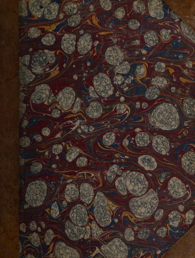 No text description is available for this image