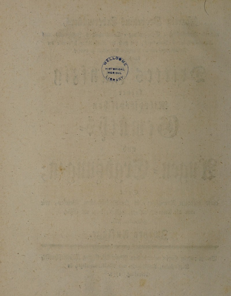 MIST*RtOAU \ MSBIOAU \