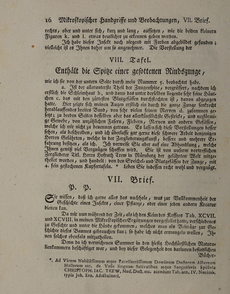 ober unb unter ftcb/ fur5 unb lang/ auffe^en / tt)ie ble beiben fteinern Siguren k. unb 1. ettvaö beutHcber ju erfennen geben merben. blefeß »'oeb nirgenb mit garben abgebUbef gefunben; bleßelc^t i|^ cff ba^er um fe angene^mert X>k ^^orjlellung bec vni. Safch t>ic ©pi^e cinec gefofteiieii 9?mb^iungc, wie icb jte non ber unfern @eife bureb mein Sflummer 5. beobaebfef b^be. a. 3ff ber atterunfcrjte '^^eif ber 3wtt3rnfpi(|e/ »ergrofferf/ nadbbem id) erfllicb ble @cblelm^auf^ b, unb bann baö unter berfclben liegenbefe^r feine ^aut- eben c. bas mit ben jartcjten ^(utgefaffen biircbf(ed;fcn i|l / banon abgewogen batte, ^ler jelgte ftd; meinen 2(ugen er|lli(b ein burd? ble gan^e fenfretbf berablauffenbcö breites ^anb/ non fc^r nielen feinen Sfternen d. jufammen ge^ fe^t; 5u beeben @elten beffelbcn aber bas allerfiinjdlcbfte ©efirlcfe/ unb nejformU ge@etnebe/ non unjablicben gafern / gicbern/ ^:>lernen unb anbern ©efajtcn/ tneicbe idb mir nicht 5^ benennen getraue, ©s laffenfifb ^>lcfc ^ßorfledungen beffer Wri; als befebreiben/ unb leb uberlafle gar gerne blefe febtnere 2(rbelt benjentgen ^erren ©ela^rfen/ tneicbe In ber ^rrglleberungsfunjl / beffere unb mehrere ©r^ fahrung beji^eu/ als leb« ttermelfe @lc aber auf eine 2(bhanblung f tneldbe 9etnl0 niel 95ergnugen fcbajfen tnirb. @le l|l non uuferm nortrcfll^ett Scrglleberer ^Itl. ^errn ypofrath ‘^retn In SRurnberg ber gelahrten 2öelt mitge# thellet morbeit/ unb hanbelt: non ben©pclcbel#unb^lufgefdffen ber 3tt»gr/ mit 4« fein ge(?ocbenen jKupfertafeln« * ieben @le Inbeffen reebt tnohl unb nergnugf. VII. «Beief. jlc tni{]en/ bab leb gerne attes bas md)f^oU, tnaS jur ?^o(Ifommenhelt ber ©efcbld;te eines 3nfcffS/ einer ^^fTanje/ ober einer /eben anbern Äreatuc btenen fan. ®a mir nuntndhrenbber 3clt/alslcbbeni^elmbes jloffees Tab. XCVII. un^CVIII. in meinen 3)?lfroffoplfcbcn©rg6ljungen ncrgcjlcUct hafte/ nerfcbicbcnes 5u ©eficbfc unb unter ble ^dnbe gefemmen / tncldies man als beitrage jur ©e# fcblcbtc blefes Raumes gebrauchen fan; fo habe leb nicht ermangeln mollen/ 36# nen folcbes ebcnfals mltjuthellem ^ 2)enn ba Id? nerml^enen Sommer In ben hieftg ^)ocbfür(lIlcbcn Olatura# uenfammern befebdftlget mv, unb bep blefer ©elegenhclt ben barinnen befinbllcben SSueber# Ad Virum Nobilimmurn atque Kxccircnti/Timum Dominum Do(gorem Albcrtum Hallcrum etc. de Vafis linguae. Salivalibus atque Sanguiferis Epidola CHRISrrOPH. lAC. TREW, Med.Doa.etc. accedunt Tab. aen, IV. Norimb. typis Job. Ern. Adeibuincri,