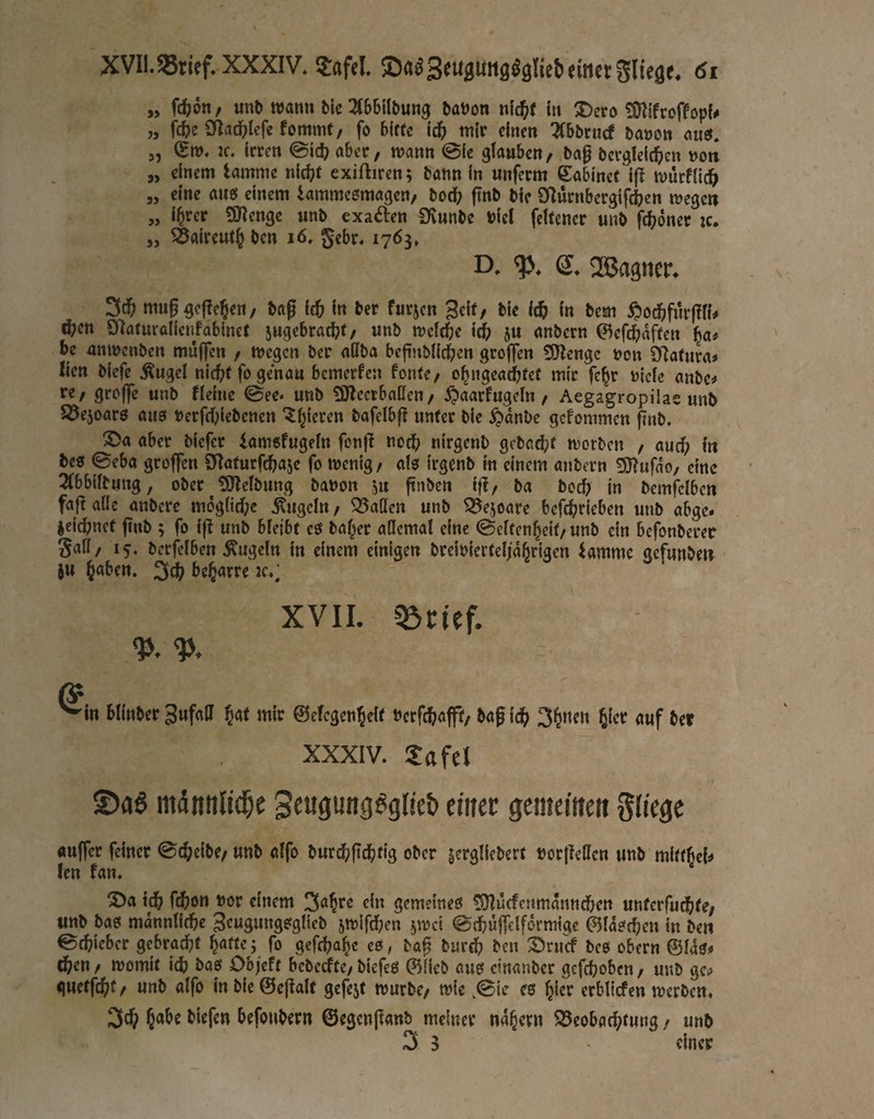 „ fd(;on, unt) wann tk ^tSBlIbung banon x\\^t in 3)ero ^(Rjfcoffopf# „ fcfee 9Zad[)iefe fomm(/ fo b(f(e fd^ wir einen Tfbbcncf banon au«. „ Sw. jc. irren @id(} aber, wann ©ie glanbctt/ .bap berglcit^en noti „ einem lamme nicht exiftiren; bann in unferm Sabincf ifl wurfilch 5, eine au« einem lammcsmagen/ boci; ftnb bie aRurnbergif^en wegen „ ihrer ÜSKcnge «nb exakten S^unbe bicl feltener unb fchdner k. 5, SÖaireuth bcn i6. Jtbr. 1763, D. S. QSJagner^ 3ch mu§geliehen/ baß ich i« tmim Seif/ bie iä) in bem ^odbfurßti^ d?en 3Raturalienfabinct jugebratht/ unb weiche i^ ju anbern ^efchaften h«^ be miwcnben muffen / Wegen ber attba bcßnblichen groffen SDIcngc »on Olatura# lien biefe .Äugel nicht fo genau bcmerfen fonte/ ohngeachtet mit fehr niefe anbe^ re / greife unb fielne ©ee. unb SJlecrbaHen / ^^»aarfugeln / Aegagropilae unb SJejoar« au« berfchlebenen ^h^^t'en bafelbfl unter bie ^anbe gefommen ßnb. ®a aber biefer lamefugein fonfl noch nirgenb gebaut worben / auch bc« ©eba groffen aRafurfchaje fo wenig/ a!« irgenb in einem anbern aölufao/ eine 3(bbiibung, ober aölelbung babon ju ßnben ifl/ ba boch in bemfclbcn faß ade anbere mögliche kugeln / 5Öatten unb Q^ejoare bcfchrieben unb abge* icichnet ßnb ; fo iß unb bleibt e« baher allemal eine ©eltenheit/ unb ein befonberer 5«d/ 15, berfelbcn 5Cugeln in einem einigen brcibiertel/dhrigen lamme gefunben ju 3d|? beharre jc.; XVII. 55i:icf. '^in büittcr 3«f<i0 mir ©cfcgcti^cK »ttftjiafff/ ^«g i£{) Jlct fluf t(t XXXIV. Sa fei mdnitlicl&e 3cugung^g(iet» eiitcc gcntcifteji fliege außer feiner ©cheibe/ unb alfo burchßchtig ober gcrgliebert »orßeHen unb mitthei^ len fan. 5)a ich fihon bor einem 3<*ht^ ciu gemeines 5)lucfenmdnnd)en untcrfuchte; «nb bas männliche 3<^«3tt»gsglicb 5wifd;ett jwei ©thüßelfdrmiac ©laschen in ben ©chieber gebracht höfte; fo gefchahe c«, baß burch ben ^ruef bc« obern ©las^ dhen / womit ich i>a0 Ob/eft bebedfe/ biefe« ©lieb au« cinanber gcfchoben / unb gCi> guetßht/ unb alfo inbieSeßalt gefejt würbe/ wie ©ie e« hier erblicfen werben« 3ch befonbern ©egenßan^ meiner ndhern ^Beobachtung / unb 3 3 einer