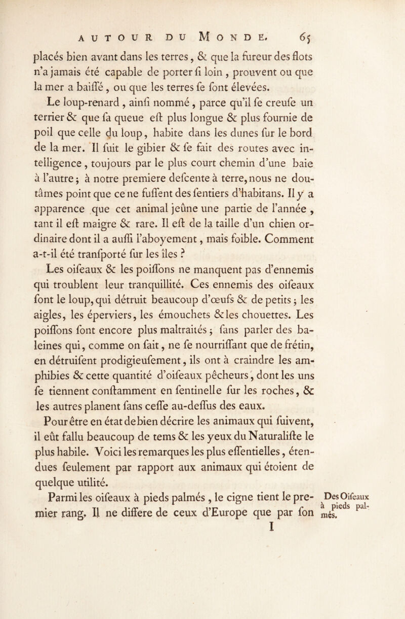 placés bien avant dans les terres, & que la fureur des flots n’a jamais été capable de porter fi loin , prouvent ou crue la mer a baifle , ou que les terres fe font élevées. Le loup-renard , ainfi nommé , parce qu’il fe creufe un terrier & que fa queue eft plus longue & plus fournie de poil que celle du loup, habite dans les dunes fur le bord de la mer. Il fuit le gibier & fe fait des routes avec in¬ telligence , toujours par le plus court chemin d’une baie à l’autre \ à notre première defcente à terre, nous ne dou¬ tâmes point que ce ne fuflfent des fentiers d’habitans. Il y a apparence que cet animal jeûne une partie de l’année , tant il eft maigre & rare. Il eft de la taille d’un chien or¬ dinaire dont il a aufli i’aboyement, mais foible. Comment a-t-il été tranfporté fur les îles ? Les oifeaux & les poifions ne manquent pas d’ennemis qui troublent leur tranquillité. Ces ennemis des oifeaux font le loup, qui détruit beaucoup d’œufs & de petits ; les aigles, les éperviers, les émouchets &les chouettes. Les poiflons font encore plus maltraités ; fans parler des ba¬ leines qui, comme on fait, ne fe nourriflant que de frétin, en détruifent prodigieufement, ils ont à craindre les am¬ phibies & cette quantité d’oifeaux pêcheurs, dont les uns fe tiennent conftamment en fentinelle fur les roches, & les autres planent fans celle au-deffus des eaux. Pour être en état de bien décrire les animaux qui fuivent, il eût fallu beaucoup de teins & les yeux duNaturalifte le plus habile. Voici les remarques les plus eflentielles, éten¬ dues feulement par rapport aux animaux qui étoient de quelque utilité. Parmi les oifeaux à pieds palmés , le cigne tient le pre¬ mier rang. Il ne différé de ceux d’Europe que par fon I Des Oifeaux à pieds pal¬ més.