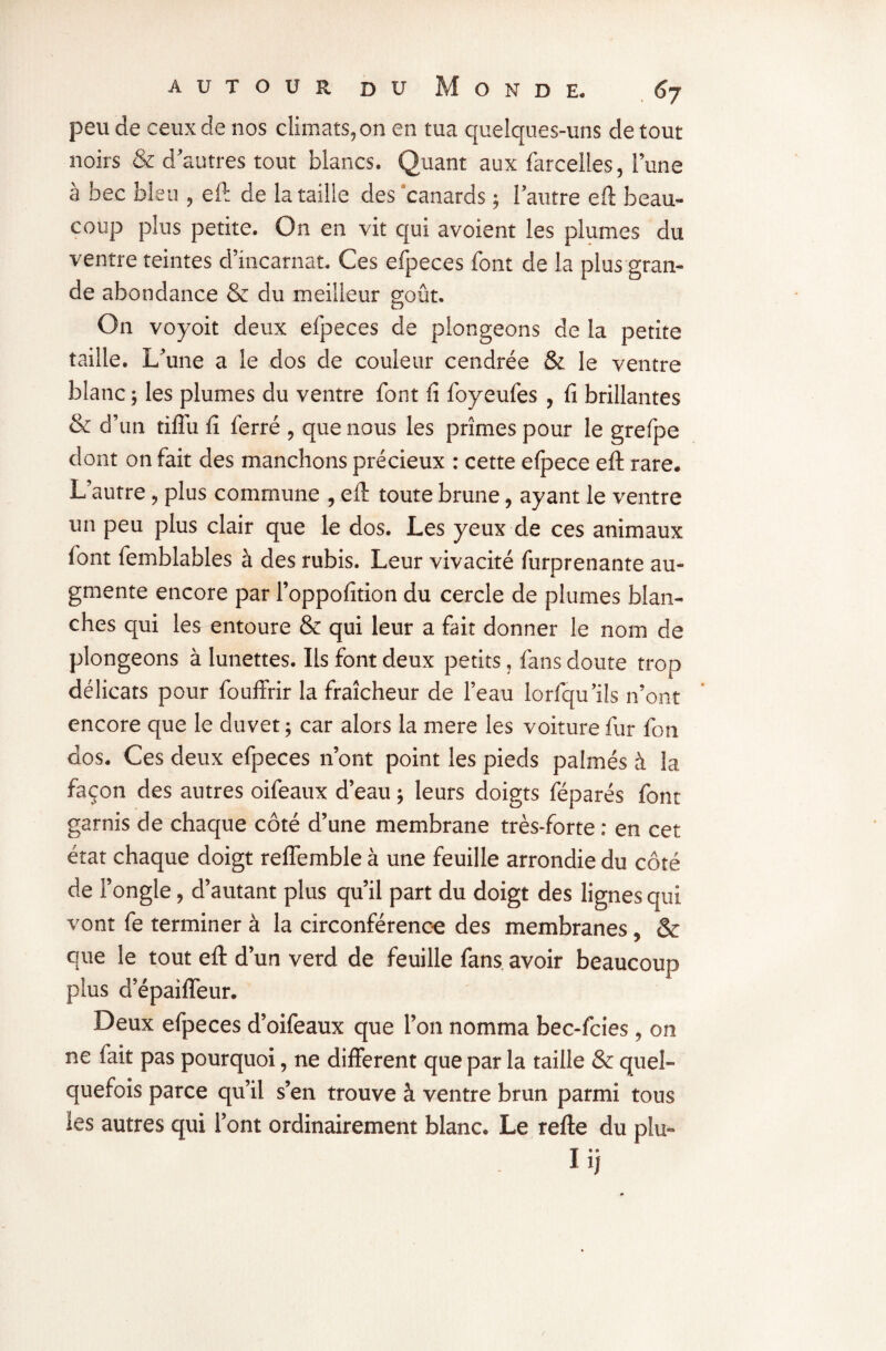 peu de ceux de nos climats, on en tua quelques-uns de tout noirs & d’autres tout blancs. Quant aux farcelles, l’une à bec bleu , eft de la taille des canards ; l’autre eft beau¬ coup plus petite. On en vit qui avoient les plumes du ventre teintes d’incarnat. Ces efpeces font de la plus gran¬ de abondance & du meilleur goût. On voyoit deux efpeces de plongeons de la petite taille. L’une a le dos de couleur cendrée & le ventre blanc ; les plumes du ventre font (1 foyeufes , fi brillantes & d' un tiffu fi ferré , que nous les prîmes pour le grefpe dont on fait des manchons précieux : cette efpece eft rare. L’autre, plus commune , eft toute brune, ayant le ventre un peu plus clair que le dos. Les yeux de ces animaux font femblables à des rubis. Leur vivacité furprenante au¬ gmente encore par l’oppofition du cercle de plumes blan¬ ches qui les entoure & qui leur a fait donner le nom de plongeons à lunettes. Ils font deux petits, fans doute trop délicats pour fouffrir la fraîcheur de l’eau lorfqu’ils n’ont encore que le duvet ; car alors la mere les voiture fur fon dos. Ces deux efpeces n’ont point les pieds palmés à la façon des autres oifeaux d’eau ; leurs doigts féparés font garnis de chaque côté d’une membrane très-forte : en cet état chaque doigt reffemble à une feuille arrondie du côté de l’ongle, d’autant plus qu’il part du doigt des lignes qui vont fe terminer à la circonférence des membranes, & que le tout eft d’un verd de feuille fans avoir beaucoup plus d’épaiffeur. Deux efpeces d’oifeaux que l’on nomma bec-fcies , on ne fait pas pourquoi, ne different que par la taille & quel¬ quefois parce qu’il s’en trouve à ventre brun parmi tous les autres qui l’ont ordinairement blanc. Le refte du plu- I ij