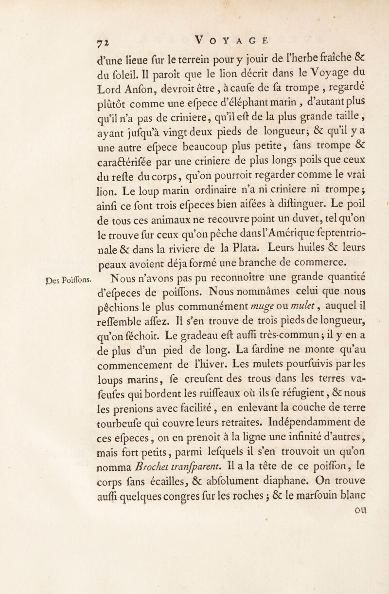 d’une lieue fur le terrein pour y jouir de l’herbe fraîche & du foleil. Il paroît que le lion décrit dans le Voyage du Lord Anfon, devroitêtre , àcaufe de fa trompe , regardé plutôt comme une efpece d’éléphant marin , d’autant plus qu’il n’a pas de crinière, qu’il eft de la plus grande taille , ayant jufqu’à vingt deux pieds de longueur; & qu’il y a une autre efpece beaucoup plus petite, fans trompe & caraélérifée par une crinière de plus longs poils que ceux du relie du corps, qu’on pourroit regarder comme le vrai lion. Le loup marin ordinaire n’a ni crinière ni trompe ; ainfi ce font trois efpeces bien aifées à dillinguer. Le poil de tous ces animaux ne recouvre point un duvet, tel qu’on le trouve fur ceux qu’on pêche dans l’Amérique feptentrio- nale & dans la riviere de la Plata. Leurs huiles & leurs peaux avoient déjà forme une branche de commerce. PesPoiffons. Nous n’avons pas pu reconnoître une grande quantité d’efpeces de poiffons. Nous nommâmes celui que nous pêchions le plus communément muge ou mulet, auquel il reffemble allez. Il s’en trouve de trois pieds de longueur, qu’on féchoit. Le gradeau elt aulu très-commun ; il y en a de plus d’un pied de long. La fardine ne monte qu’au commencement de l’hiver. Les mulets pourfuivis par les loups marins, fe creufent des trous dans les terres va- feufes qui bordent les ruilfeaux où ilsfe réfugient, & nous les prenions avec facilité, en enlevant la couche de terre tourbeufe qui couvre leurs retraites. Indépendamment de ces efpeces, on en prenoit à la ligne une infinité d’autres, mais fort petits, parmi lefquels il s’en trouvoit un qu’on nomma Brocha tranfparent. Il a la tête de ce poilfon, le corps fans écailles, & abfolument diaphane. On trouve aulïi quelques congres fur les roches ; & le marfouin blanc ou