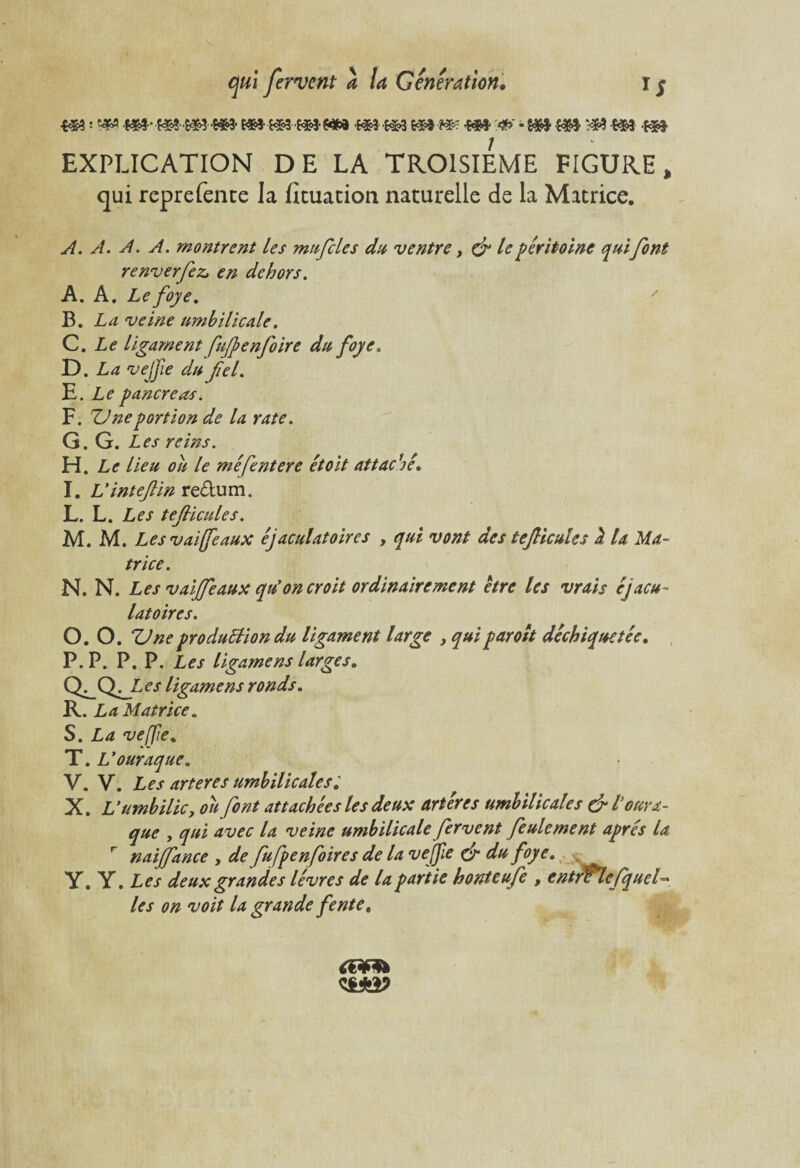 m ■ «p m-m-m-me®ï**3-mt** *** &-mm -4M m -m EXPLICATION DE LA TROISIEME FIGURE, qui reprefente la fituation naturelle de la Matrice. A. A. A. A. montrent les mufles dit ventre, cle péritoine quifont renverfezj en dehors. A. A. Lefoye. B. La veine umbilicale. G. Le ligament fuf en foire dit foye. D. La vejfie du fel. E. Le pancréas. F. ZJneportion de la rate. G. G. Les reins. H. Le lieu ou le méfentere êtolt attache. I. L'intejlin redum. L. L. Les tefticules. M. M. Les v ai féaux éjaculatoires , qui vont des tejlicules h la Ma¬ trice. N. N. Les v ai [féaux qu'on croit ordinairement etre les vrais éjacu¬ latoires. O. O. ZJne produdllondu ligament large , qui par oit déchiquetée. P. P. P. P. Les ligamens larges. GfGfJ'Cs ligamens ronds. R. La Matrice. S. La veffie. T. L’ouraque„ V. V. Les arteres umhilicales. X. Vumhilic, ou font attachées les deux artères umhilicales & l’oura¬ que , qui avec la veine umbilicale fervent feulement après la, r naiffance , de fufpenfoires de la vejfie & du foye. Y. Y. Les deux grandes lèvres de la partie honteufe , entrflefquel~ les on voit la grande fente,