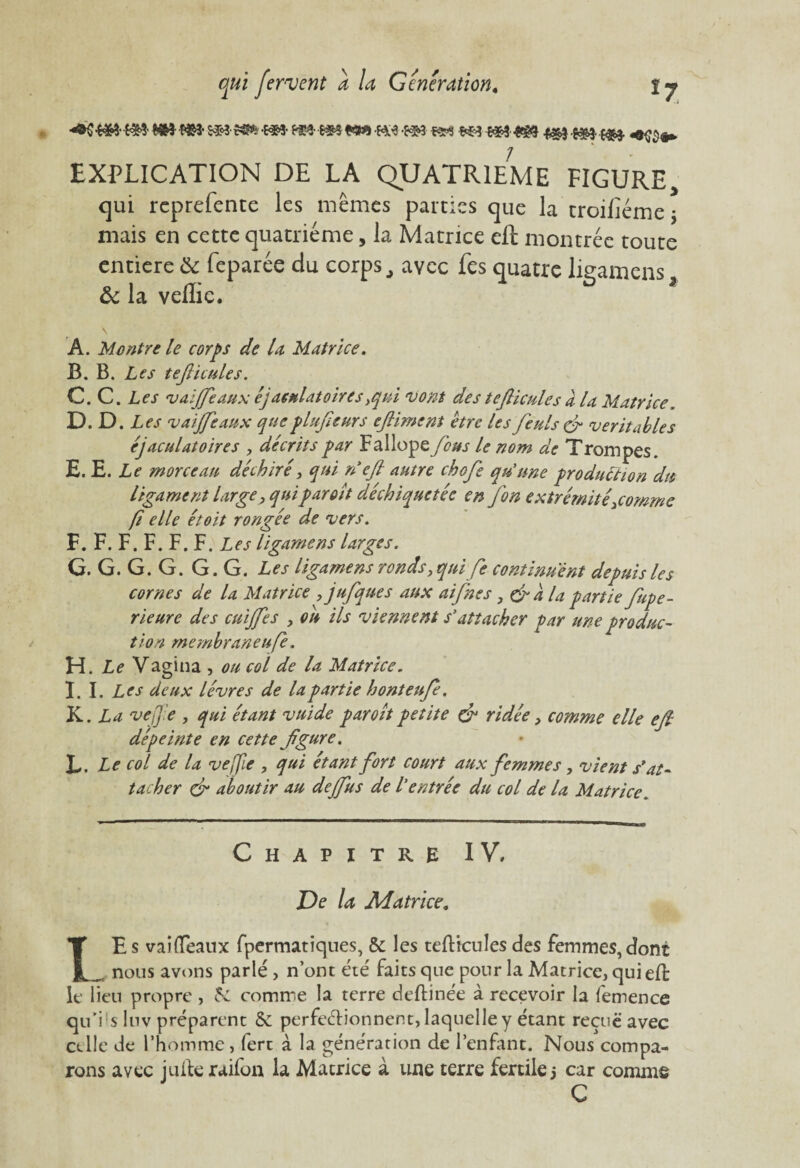 m-m* m-mm- +$$+> EXPLICATION DE LA QUATRIEME FIGURE, qui rcprefente les mêmes parties que la troilîéme; mais en cette quatrième, la Matrice eft montrée toute entière & feparée du corps, avec Les quatre lieamens & la veflie. ü * A. Montre le corps de la Matrice. B. B. Les tefticules. C. C. Les vaiffeaux éjaculatoires,qui vont des tefticulesa la Matrice D. D. Les vaijfeaux queplufteurs eJHment être les feuls & véritables éjaculatoires , décrits par Fallope /^j le nom de Trompes. E. E. Le morceau déchiré, qui ri eft autre chofte qu'une production du ligament large, qui par oit déchiquetée en J.on extrémité\commc fi elle étoit rongée de vers. F. F. F. F. F. F. Les ligamens larges. G. G. G. G. G. G. Les ligamens ronds, qui fe continuent depuis les cornes de la Matrice ,jufques aux aiftnes, &a la partie fupe- rieure des cuijfes , ou ils viennent s'attacher par une produc¬ tion membrane ufe. H. Le Vagina , ou col de la Matrice. I. I. Les deux lèvres de la partie honteufte. K. La vej'.e , qui étant vuide par oit petite & ridée, comme elle eft dépeinte en cette ftgure. L. Le col de la vejfie , qui étant fort court aux femmes, vient s'at¬ tacher & aboutir au dejftus de Centrée du col de la Matrice. Chapitre IV* De la Matrice. XE s vaifleaux fpermatiques, & les tefticules des Femmes, dont _ nous avons parlé, n’ont été faits que pour la Matrice, qui eft: le lieu propre , 5c comme la terre deftinée à recevoir la femence qu'i s luv préparent & perfectionnent, laquelle y étant reçue avec celle de l’homme, fert à la génération de l’enfant. Nous compa¬ rons avec juile raifoa la Matrice à une terre fertile j car comme C