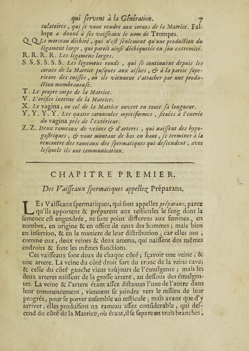 dilatoires, qui je vont rendre aux cornes de la Matrice. Fal- lope 4 donné à fes vaijfeaux le nom de Trompes. QXlJ,e morceau déchiré, qui rie fl feulement qu'une production du Ligament large, quiparoît ainjî déchiquetée en J'on extrémité. R. R. R. R. Les Ligamens larges. S. S. S. S. S. S. Les ligamens ronds > qui je continuent depuis les cornes de la Matrice jufques aux aifhes , dr a la partie fupe- rieure des cuijjes , ou ils viennent s'attacher par une produ¬ ction memhraneufe. Il . Le propre corps de la Matrice. V. V orij'ce interne de la Matrice. X. Le vagina, on col de la Matrice ouvert en toute ja longueur. Y. Y. Y. Y. Les quatre caruncules my ni for me s , fit nées à Centrée du vagina prés de Cextérieur. IL.'Tu. Deux rameaux de veines de d'arteres , qui naifent des hypo- gafriques , çf vont montant de bas en haut, fe terminer a la rencontre des rameaux des fpermatiques qui defeendent, avec lefquels ils ont communication. CHAPITRE PREMIER. Des Kaijfeaux fpermatiques appelle^ Préparans. i LEs Vaifleaux fpermatiques, qui font appeliez préparans, parce qu’ils apportent 6c préparent aux tefticules le fang dont la femence eft engendrée, ne font point differens aux femmes, en nombre, en origine & en office de ceux des hommes $ mais bien en infertion, 6c en la maniéré de leur diftribution • car elles ont , comme eux, deux veines & deux arteres, qui nailïent des mêmes endroits 6c font les mêmes fonctions. Ces vaifleaux font deux de chaque côté $ fçavoir une veine , 6c une artere. La veine du côté droit fort du tronc de la veine cave* 6c celle du côté gauche vient toujours de l’émulgente ; mais les deux arteres nailïent de la grofle artere , au deflous des émulan¬ tes. La veine 6c l’artere étant allez diftatites l’une de l’autre dans leur commencement , viennent fe joindre vers le milieu de leur progrès, pour fe porter enfemble au tefticule 3 mais avant que d’y arriver > elles produifent im rameau allez confiderable , qui def- cend du côté delà Matrice j où étant,ilfe fepareen trois branches,
