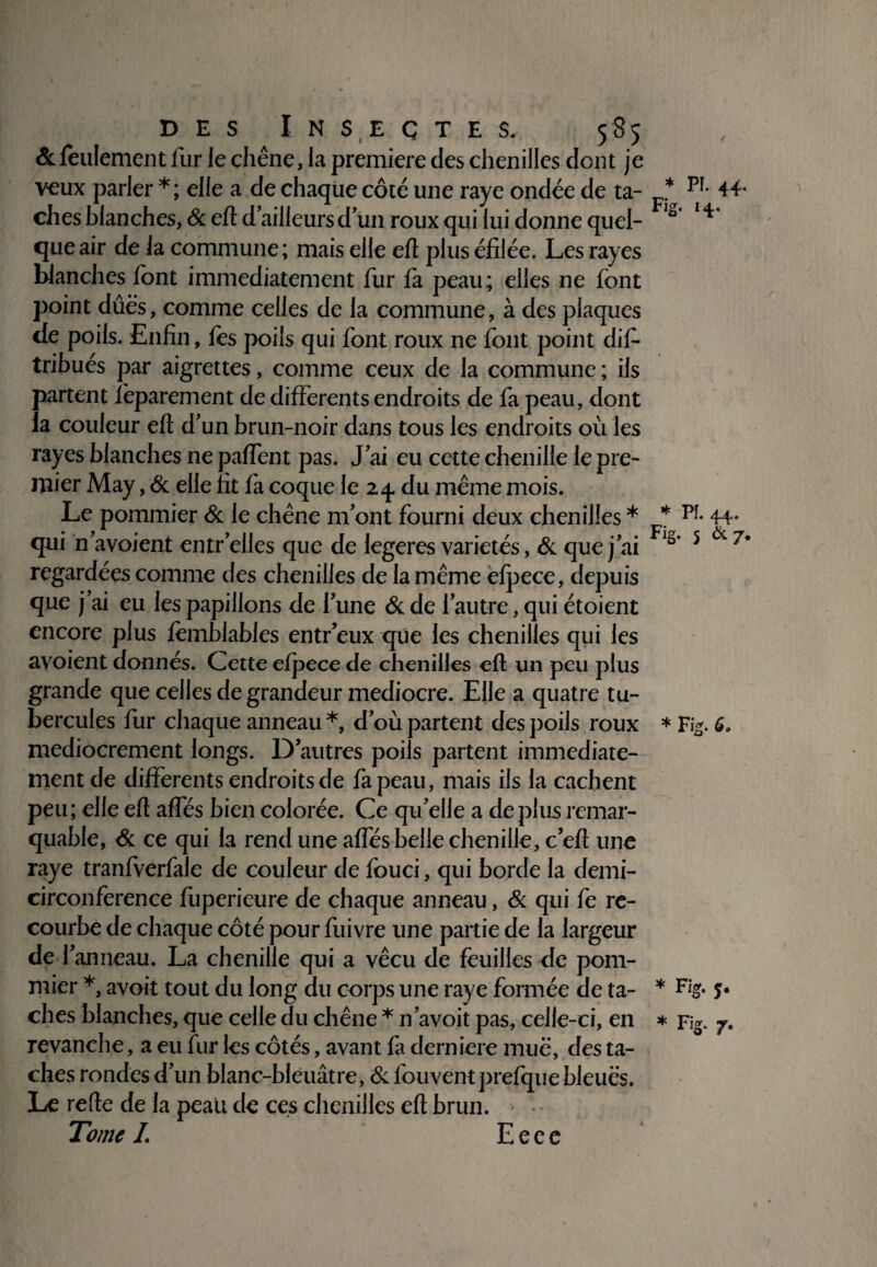 & feulement fur le chêne, la première des chenilles dent je veux parler *; elle a de chaque côté une raye ondée de ta¬ ches blanches, & eft d’ailleurs d'un roux qui lui donne quel¬ que air de la commune ; mais elle eft plus éfilée. Les rayes blanches font immédiatement fur fa peau; elles ne font point dûës, comme celles de la commune, à des plaques de poils. Enfin, fes poils qui font roux ne font point dis¬ tribués par aigrettes, comme ceux de la commune ; ils partent feparement de differents endroits de fa peau, dont la couleur eft d’un brun-noir dans tous les endroits où les rayes blanches ne paffent pas. J’ai eu cette chenille le pre¬ mier May, & elle fit fa coque le 24. du même mois. qui n’avoient entr’elles que de legeres variétés, & que j’ai regardées comme des chenilles de la même efpece, depuis que j’ai eu les papillons de l’une & de l’autre, qui étoient encore plus femblables entr’eux que les chenilles qui les avoient donnés. Cette efpece de chenilles eft un peu plus grande que celles de grandeur médiocre. Elle a quatre tu¬ bercules fur chaque anneau *, d’où partent des poils roux médiocrement longs. D’autres poils partent immédiate¬ ment de differents endroits de fa peau, mais ils la cachent peu; elle eft affés bien colorée. Ce qu’elle a de plus remar¬ quable, & ce qui la rend une affés belle chenille, c’eft une raye tranfverfale de couleur de fouci, qui borde la demi- circonférence fuperieure de chaque anneau, & qui fe re¬ courbe de chaque côté pour fuivre une partie de la largeur de 1 'anneau. La chenille qui a vécu de feuilles de pom¬ mier *, avoir tout du long du corps une raye formée de ta¬ ches blanches, que celle du chêne * n’avoit pas, celle-ci, en revanche, a eu fur les côtés, avant fa derniere mue, des ta¬ ches rondes d’un blanc-bleuâtre, & fouventprefque bleues. Le refte de la peau de ces chenilles eft brun. Tome /. Eeee Fig. 5 * Fig. 6» * Fig. 5. * Fig. 7.