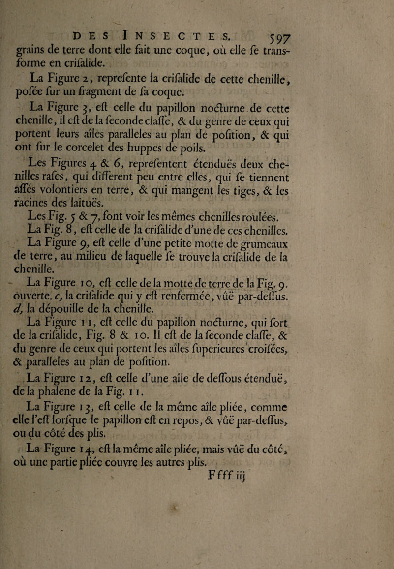 r des Insectes. 597 grains cle terre dont elle fait une coque, où elle fe trans¬ forme en crifalide. , La Figure 2, reprefente la crifalide de cette chenille, pofée fur un fragment de fa coque. La Figure 3, eft celle du papillon nodhirne de cette chenille, il eft de la féconde claffe, & du genre de ceux qui portent leurs ailes parallèles au plan de pofition, & qui ont fur le corcelet des huppes de poils. Les Figures 4 &. 6, reprefentent étendues deux che¬ nilles rafes, qui different peu entre elles, qui fe tiennent affés volontiers en terre, & qui mangent les tiges, & les racines des laitues. Les Fig. 5 & 7, font voir les mêmes chenilles roulées. La Fig. 8, eft celle de la crifalide d’une de ces chenilles. La Figure 9, eft celle d’une petite motte de grumeaux de terre, au milieu de laquelle fe trouve la crifalide de la chenille. La Figure 1 o, eft celle de la motte de terre de la Fig. 9. ouverte, c, la crifalide qui y eft renfermée, vûë par-deffus, d, la dépouille de la chenille. La Figure 11, eft celle du papillon noéfurne, qui fort de lacrifaiide, Fig. 8 & 10. Il eft de la fécondé claffe, & du genre de ceux qui portent les ailes fuperieures croifées, & parallèles au plan de pofition. La Figure 12, eft celle d’une aile de deffous étendue, de la phalene de la Fig. 11. La Figure 13, eft celle de la même aile pliée, comme elle l’eft lorfque le papillon eft en repos, & vûë par-deffus, ou du côté des plis. La Figure 14, eft la même aile pliée, mais vûë du côté, où une partie pliée couvre les autres plis.