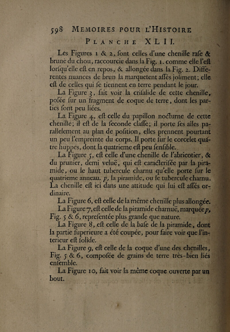 Planche X L I I. Les Figures 1 & 2, font celles d’une chenille rafe 6c brune du chou, raccourcie dans la Fig. 1. comme elle i’eft lorfqu’elle eft en repos, & allongée dans la Fig. 2. Diffe¬ rentes nuances de brun la marquetent affés joliment; elle eft de celles qui fe tiennent en terre pendant le jour. La Figure 3, fait voir la crifalide de cette chenille, pofée fur un fragment de coque de terre, dont les par¬ ties font peu liées. La Figure 4, eft celle du papillon noéturne de cette chenille; il eft de la fécondé claffe; il porte fes ailes pa¬ rallèlement au plan de pofition, elles prennent pourtant un peu l’empreinte du corps. Il porte l'ur le corcelet qua¬ tre huppes, dont la quatrième eft peu fenfible.. La Figure 5, eft celle d’une chenille de l’abricotier, 6c du prunier, demi veluë, qui eft caraélerifée par la pira- mide, ou le haut tubercule charnu qu’elle porte fur le quatrième anneau, p, la piramide, ou le tubercule charnu, La chenille eft ici dans une attitude qui lui eft affés or¬ dinaire. La Figure 6, eft celle de la même chenille plus allongée. La Figure 7, eft celle de la piramide charnue, marquée/?, Fig. 5 & 6, reprefèntée plus grande que nature. La Figure 8, eft celle de la bafe de la piramide, dont la partie fuperieure a été coupée, pour faire voir que l’in- terieur eft folide. La Figure 9, eft celle de la coque d’une des chenilles, Fig. 5 & 6, compofée de grains de terre très-bien liés enfemble. La Figure 1 o, fait voir la même coque ouverte par un bout.