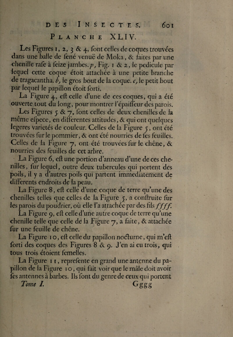 Planche XLIV. Les Figures i, 2, 3 & 4, font celles de coques trouvées dans une balle de fené venuë de Moka, & faites par une chenille rafe à feize jambes./?, Fig. 1 & 2, le pédicule par lequel cette coque étoit attachée à une petite branche de tragacantha. /?, le gros bout de la coque. c, le petit bout par lequel le papillon étoit forti. La Figure 4., eft celle d’une de ces coques, qui a été ouverte tout du long, pour montrer l’épaiffeur des parois. Les Figures 5 & 7, font celles de deux chenilles de la même efpece, en differentes attitudes, & qui ont quelques legeres variétés de couleur. Celles de la Figure 5, ont été trouvées fur le pommier, & ont été nourries de fes feuilles. Celles de la Figure 7, ont été trouvées fur le chêne, & nourries des feuilles de cet arbre. - La Figure 6, eft une portion d anneau d une de ces che¬ nilles, fur lequel, outre deux tubercules qui portent des poils, il y a d autres poils qui partent immédiatement de differents endroits de la peau. La Figure 8, eft celle d’une coque de terre qu'une des - chenilles telles que celles de la Figure y, a conftruite fur les parois du poudrier, où elle l’a attachée par des üh ffff La Figure 9, eft celle d’une autre coque de terre qu’une chenille telle que celle de la Figure 7, a faite, & attachée fur une feuille de chêne. La Figure 1 o, eft celle du papillon noélurne, qui m’eft forti des coques des Figures 8 & 9. J’en ai eu trois, qui tous trois étoient femelles. La Figure 11, reprefente en grand une antenne du pa¬ pillon de la Figure 1 o, qui fait voir que le mâle doit avoir fes antennes à barbes. Ils font du genre de ceux qui portent Tome I. Gggg